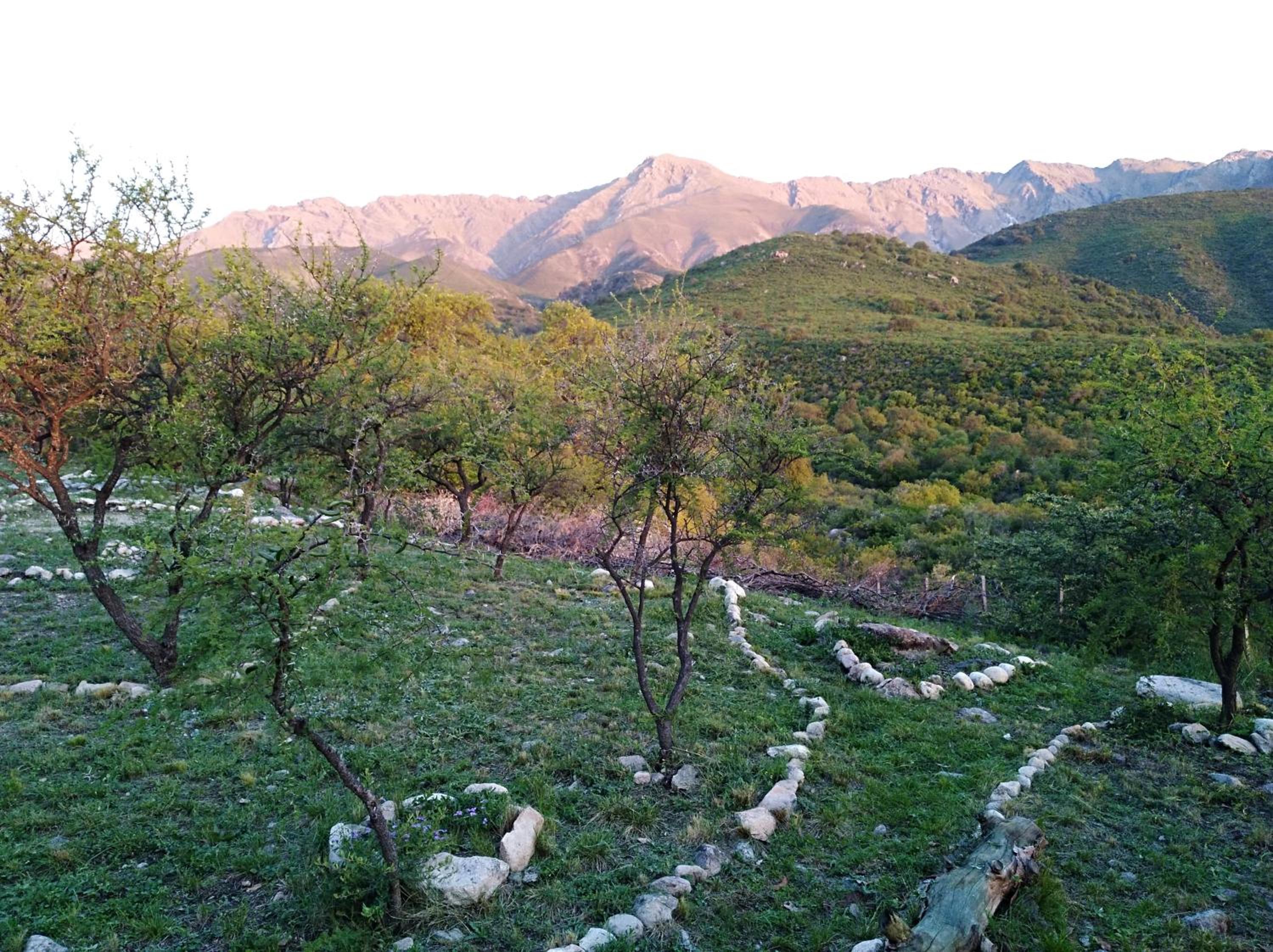 Barranca Verde Relax