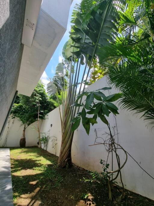 Villa Fleur de Coco - 8p. - piscine privée - haut standing view 2