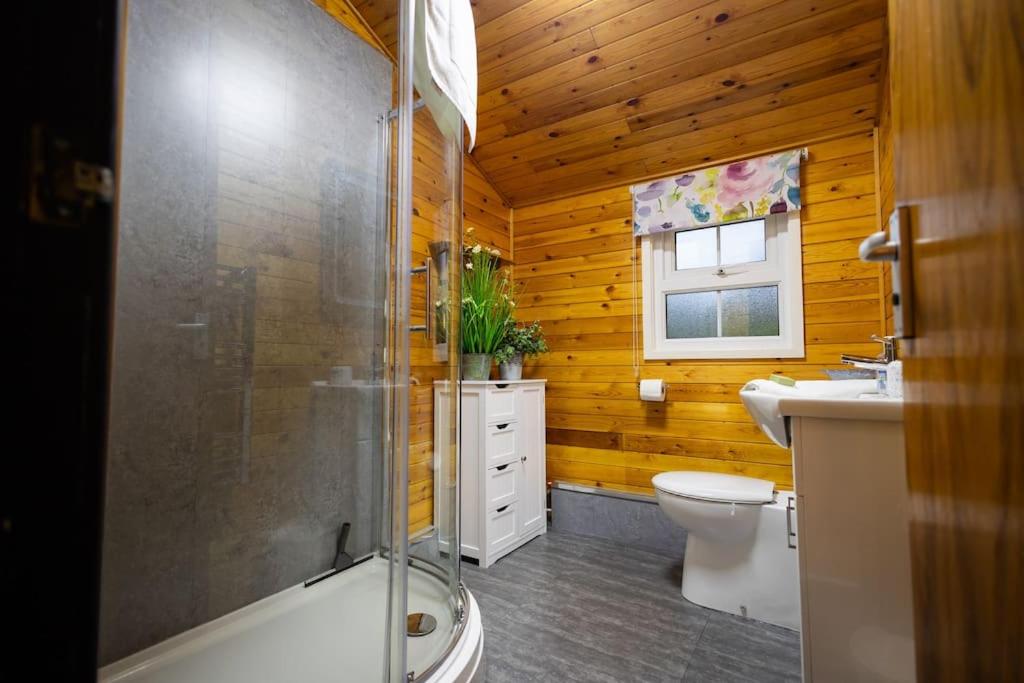 Rural Log Cabin in Snowdonia near Coed y Brenin by Seren Short Stays view 5