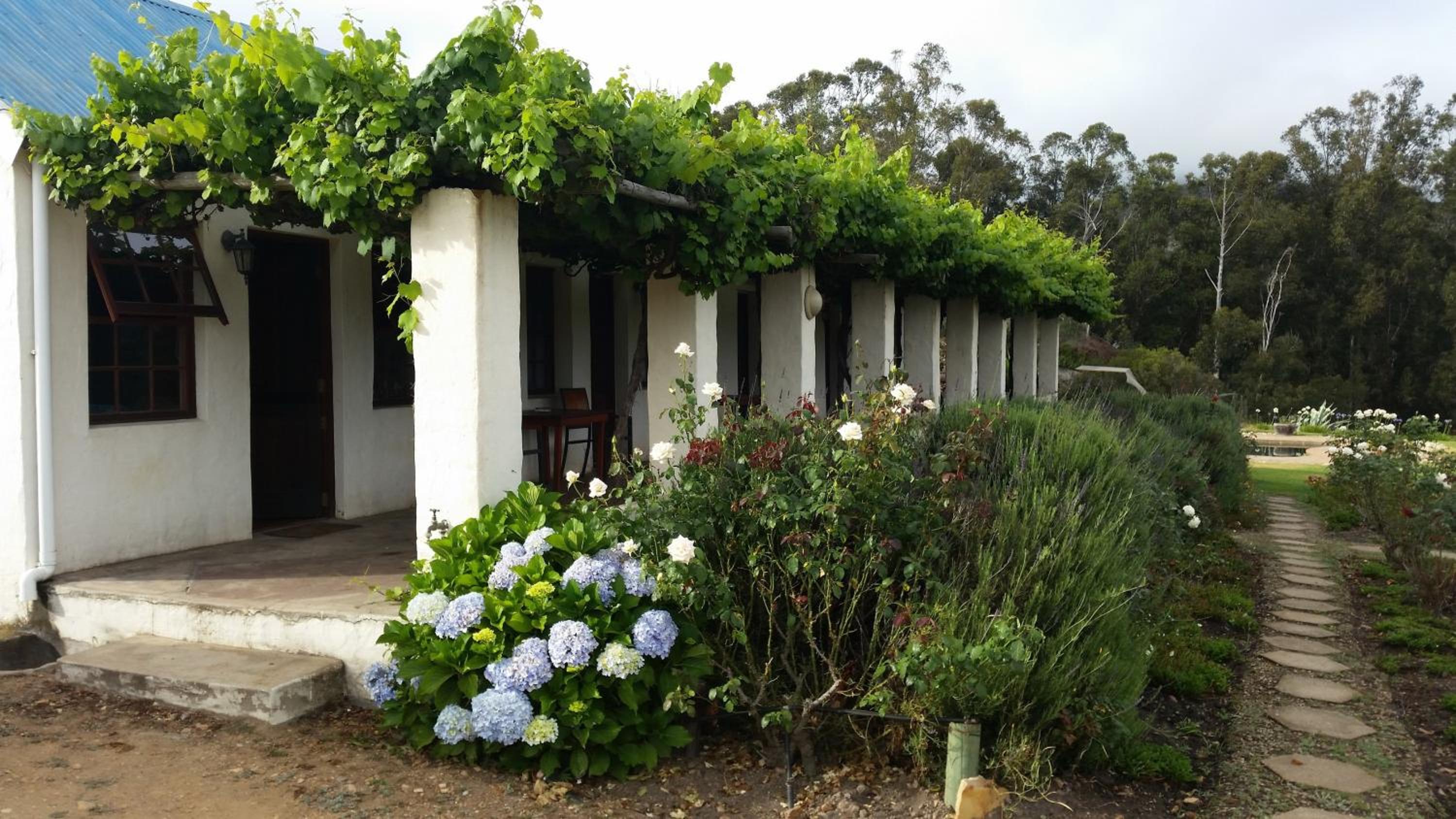 Over The Mountain Guest Farm