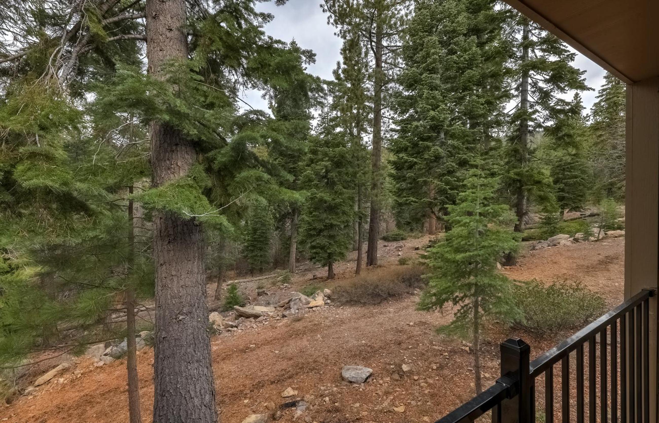 Alpine Escape: Tahoe Oasis Steps from Lake - Property Image 17