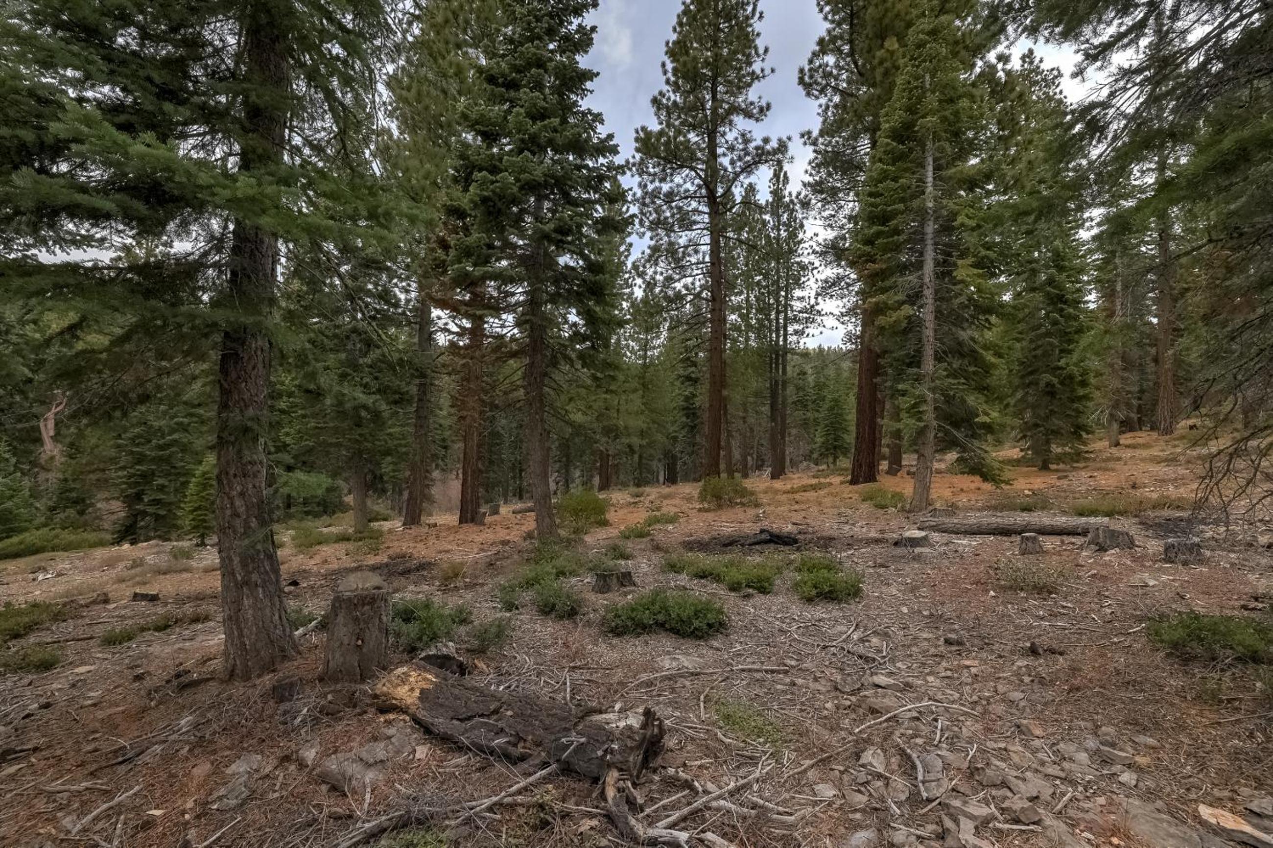 Alpine Escape: Tahoe Oasis Steps from Lake - Property Image 23