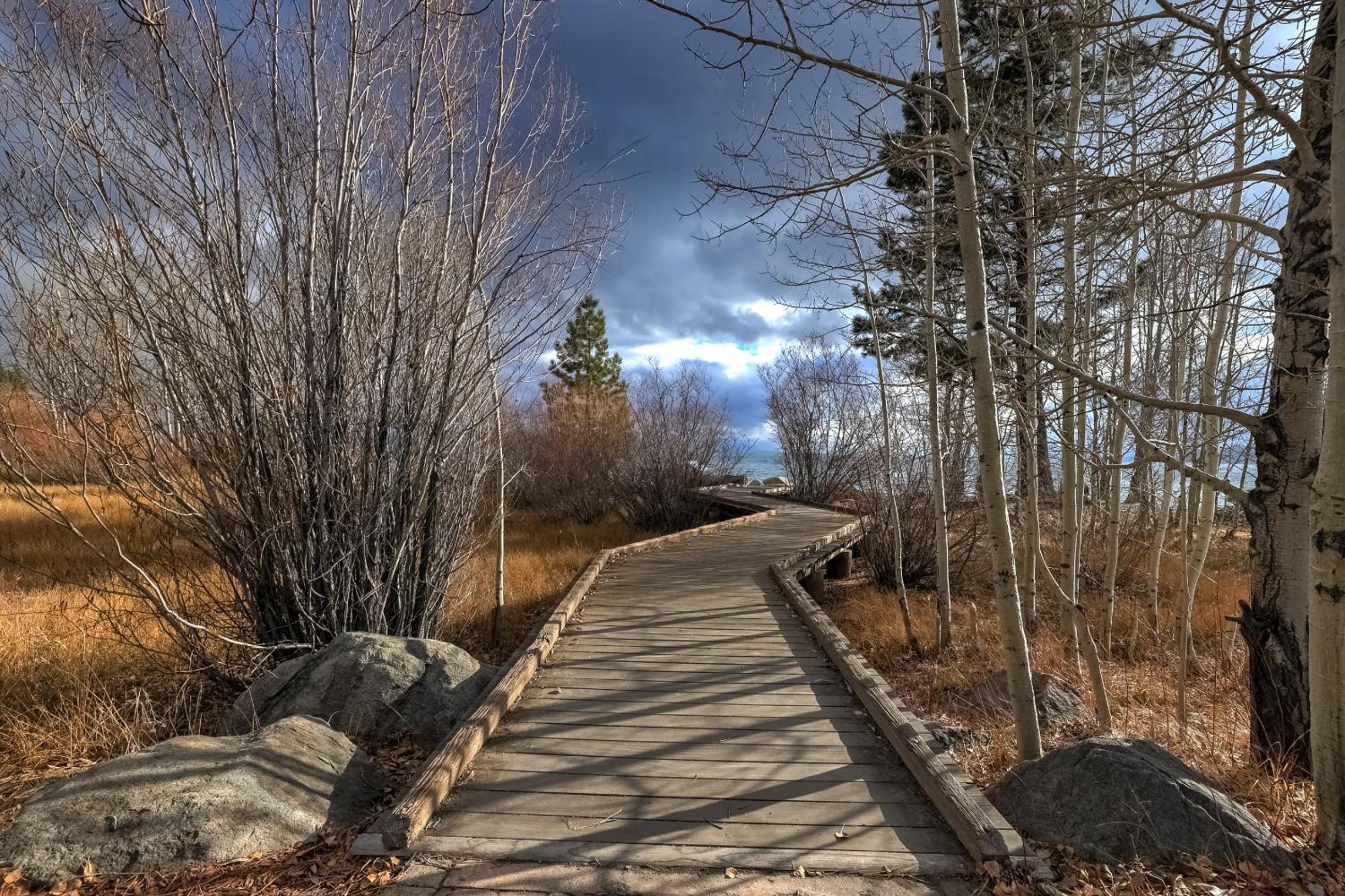 Alpine Escape: Tahoe Oasis Steps from Lake - Property Image 19