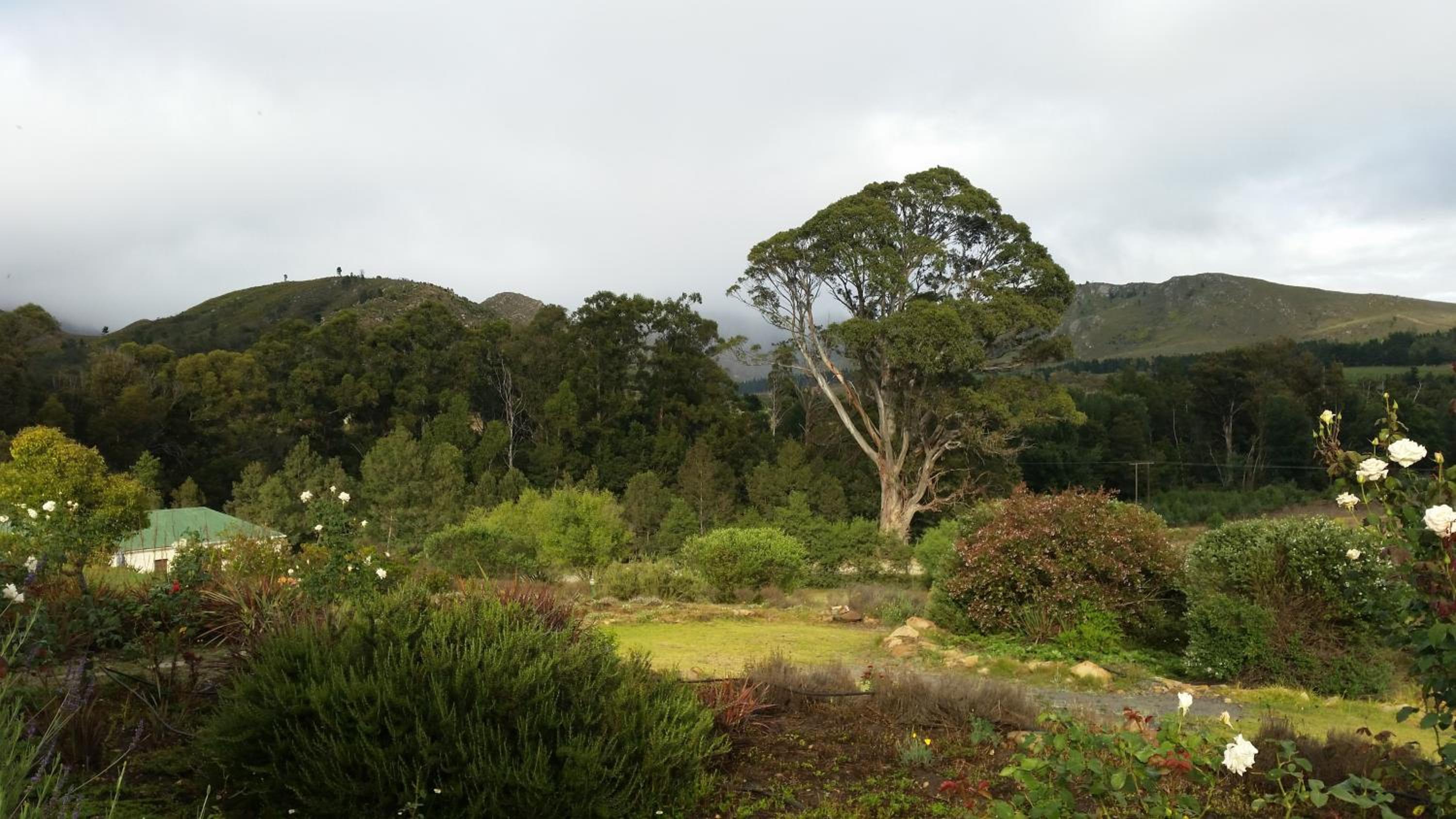 Over The Mountain Guest Farm