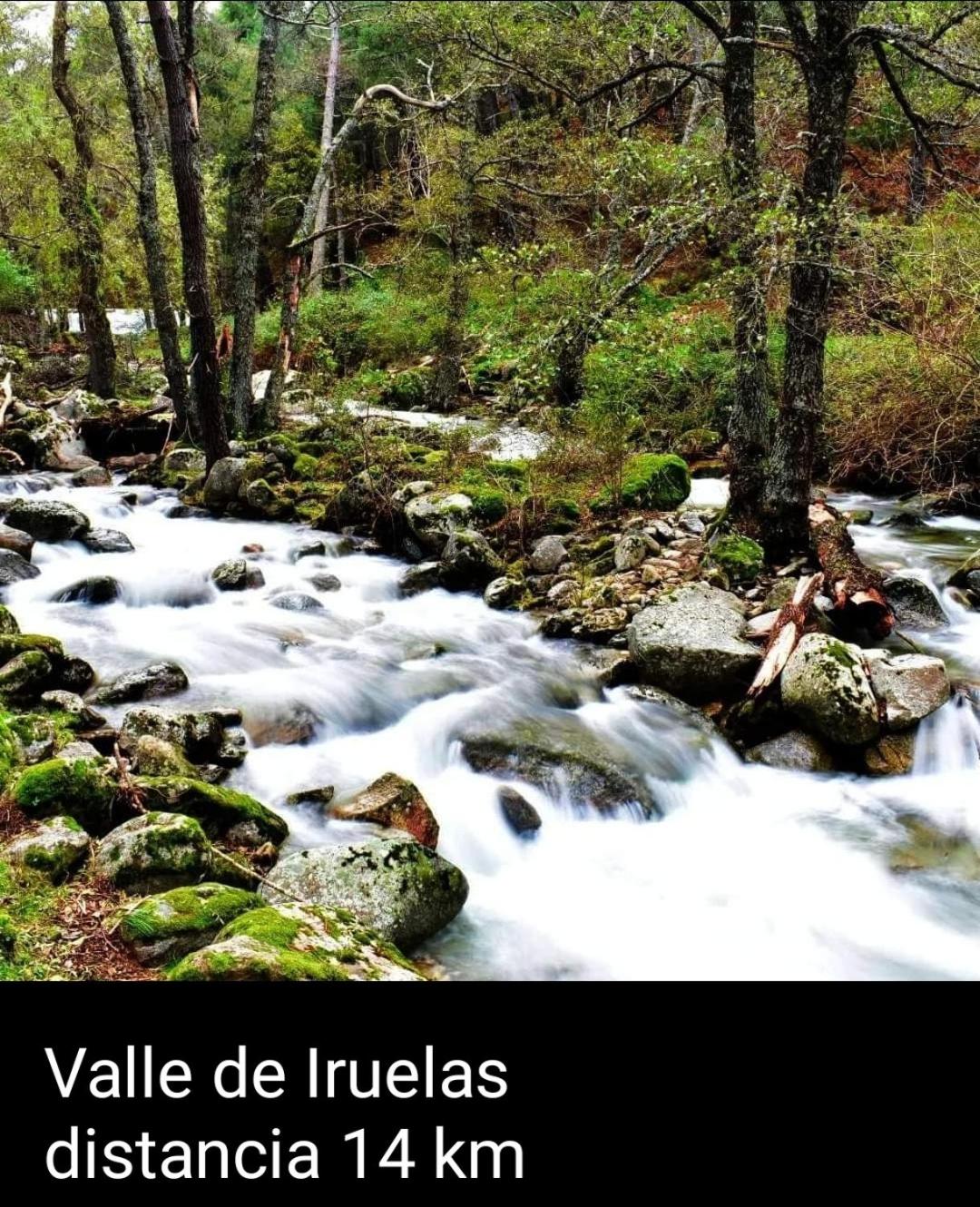 Chalet Pinara