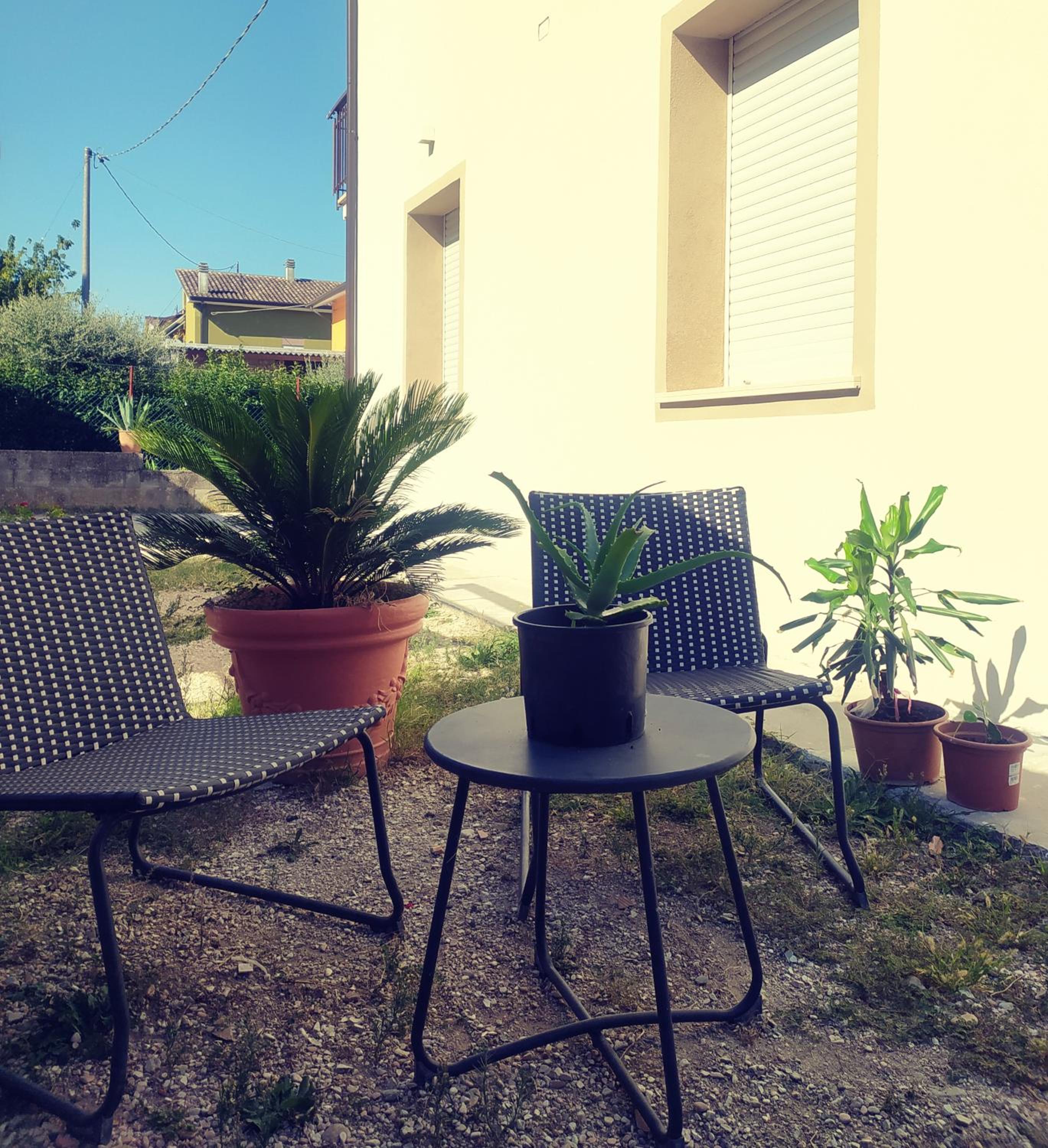 Photo 43