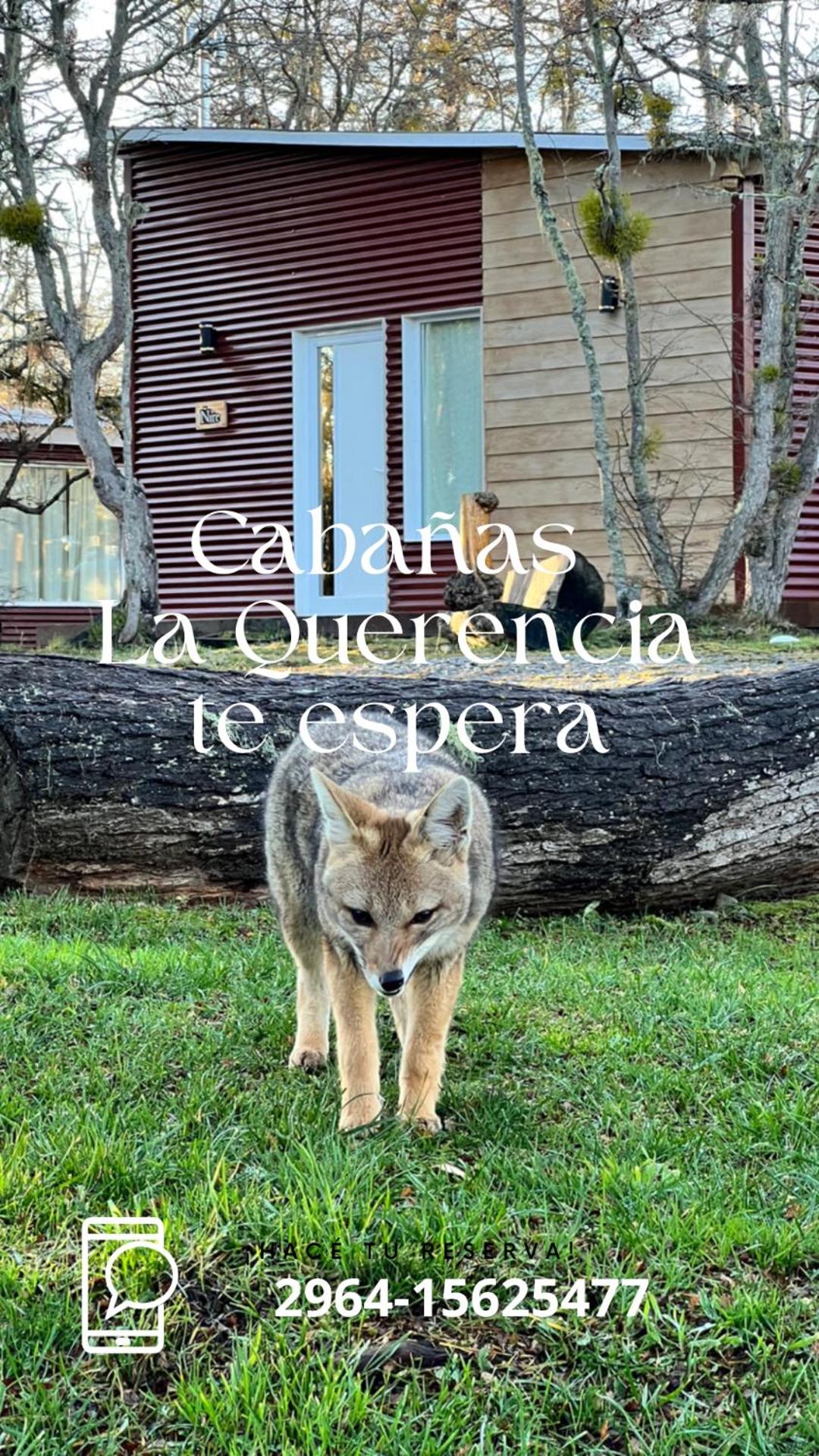 Cabañas La Querencia Tolhuin
