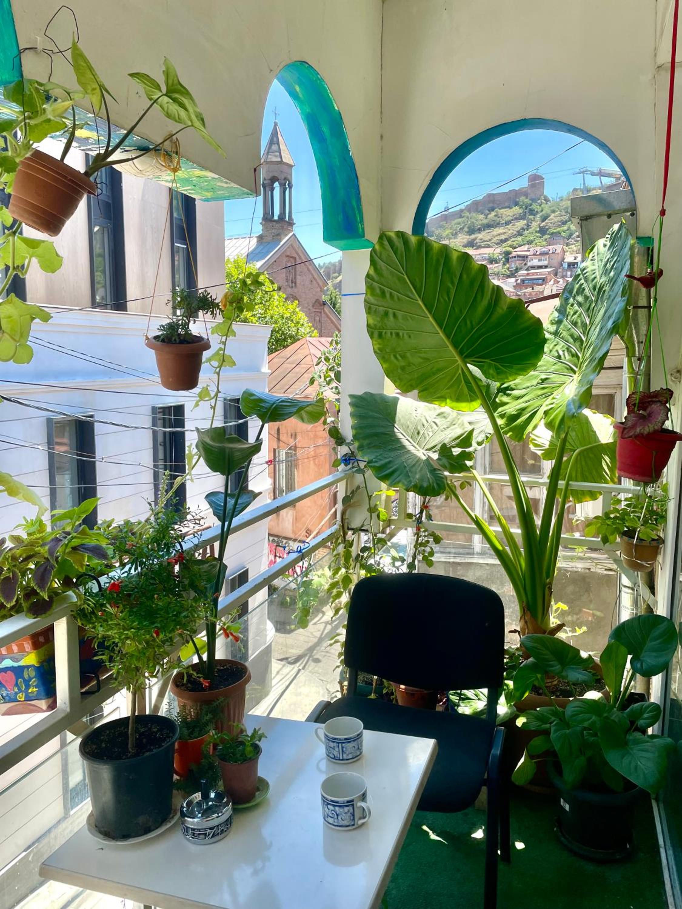 balance & terrace