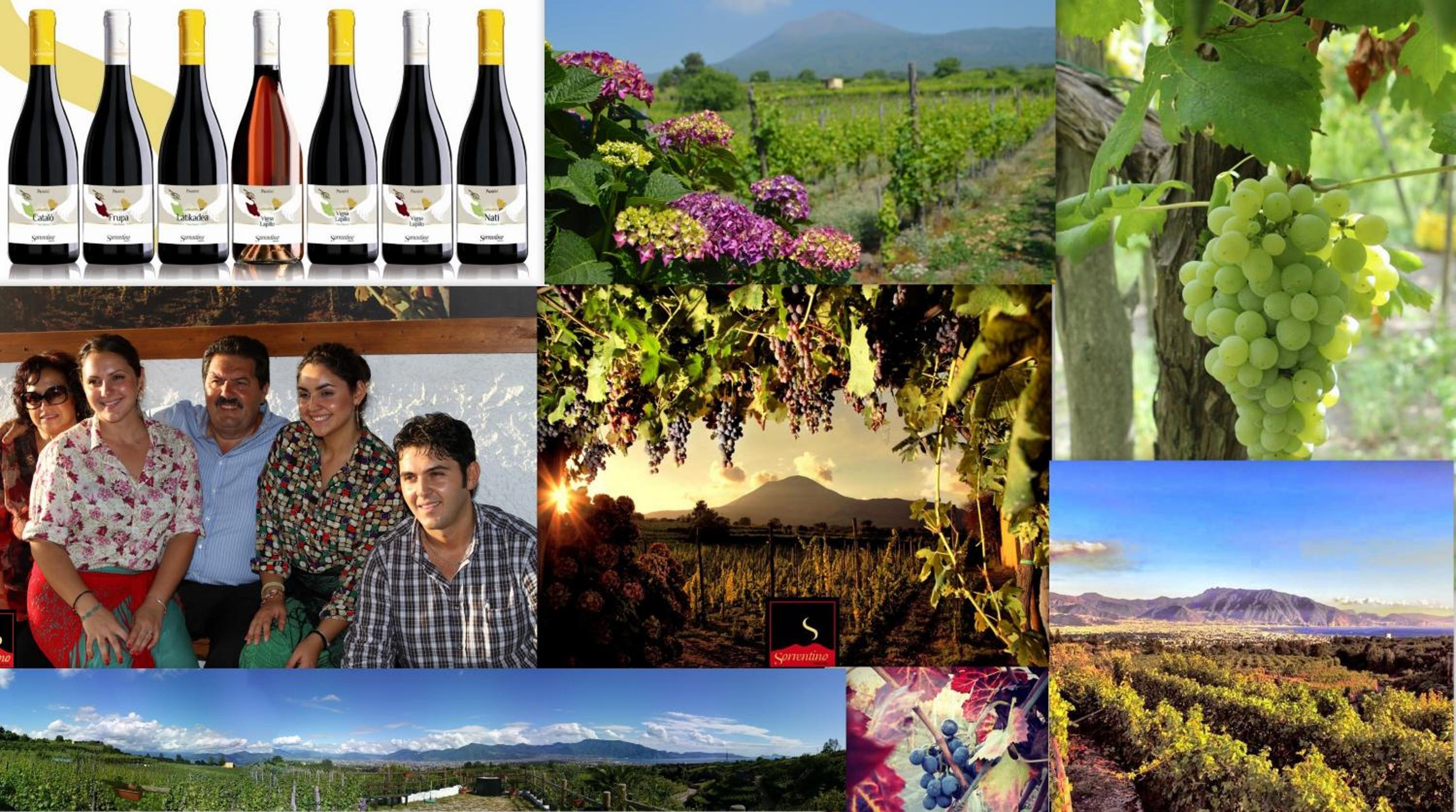 Vesuvio Inn Guest House e Wine Experience