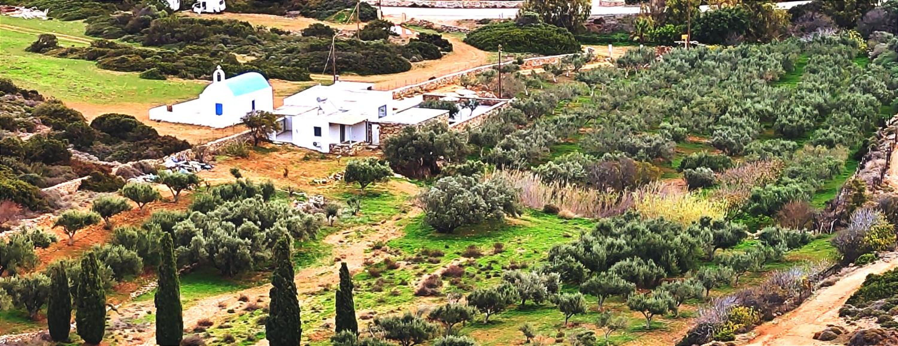 Ktima Elea Antiparos