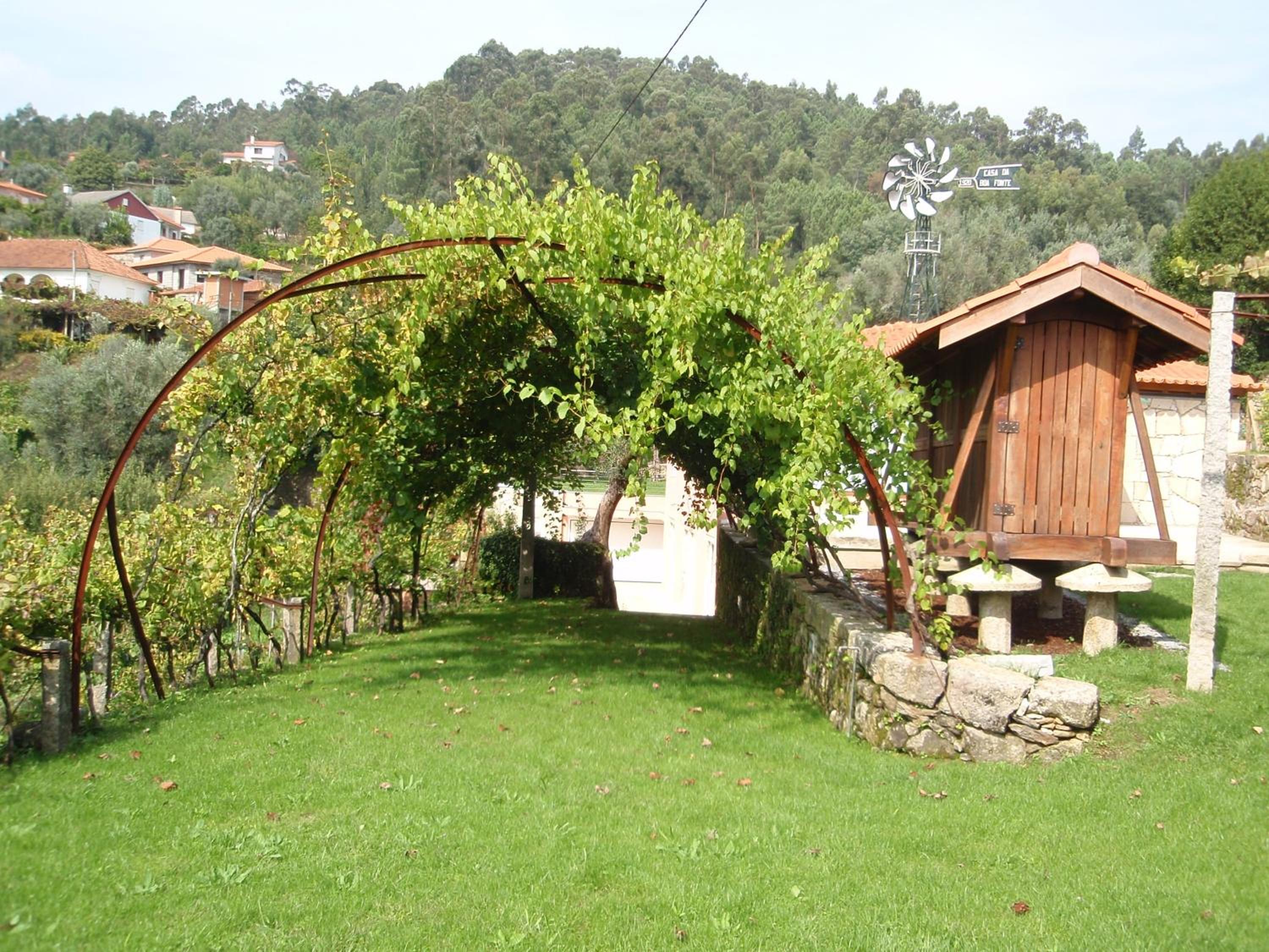 Photo 42