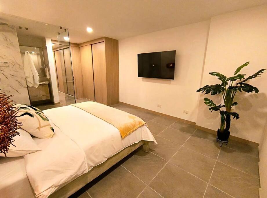 VIP Suite - Belmonte