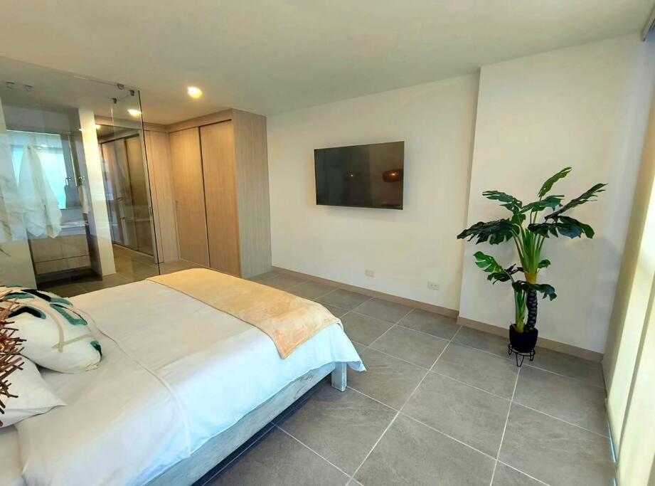 VIP Suite - Belmonte