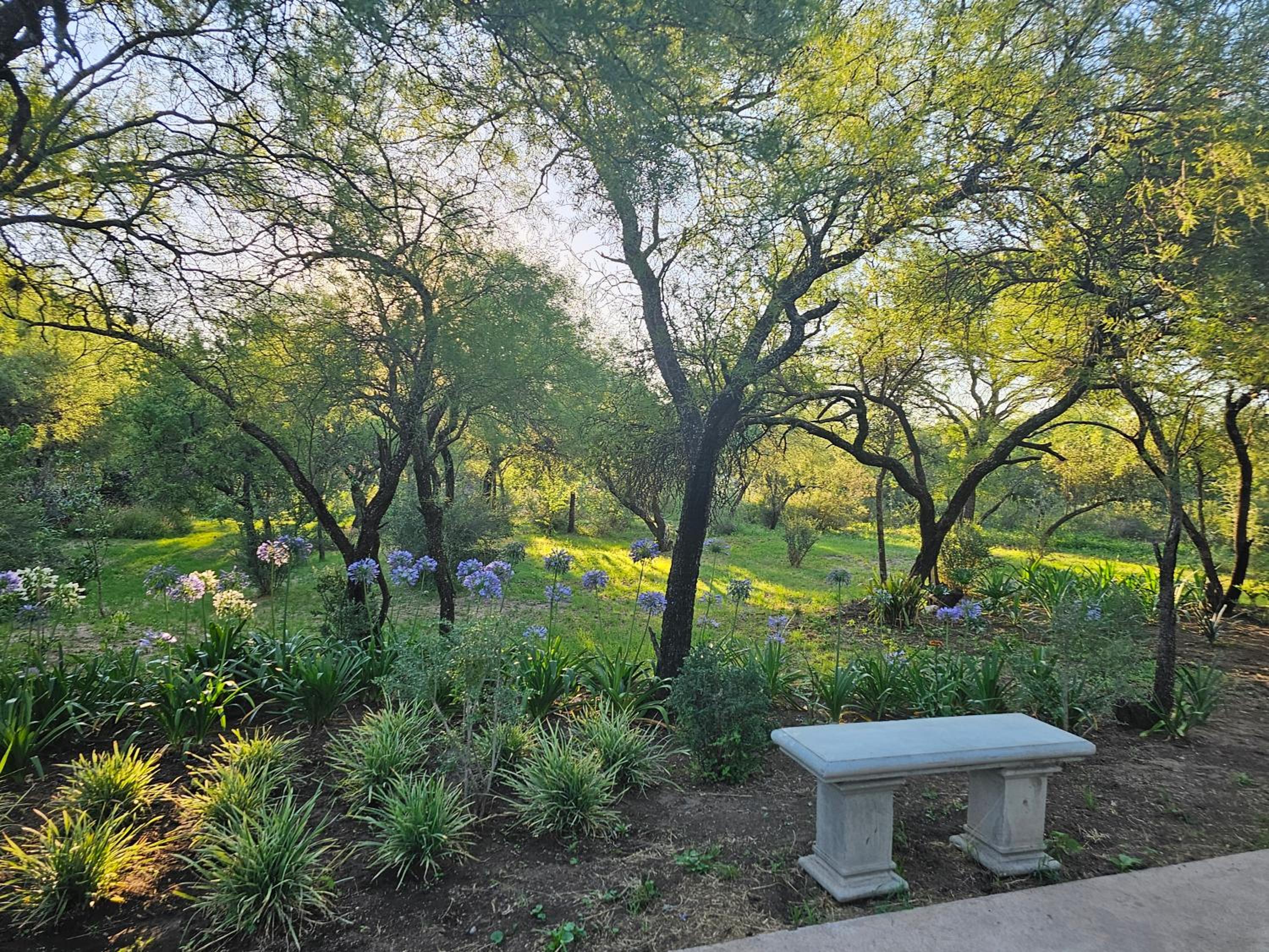 Raíces serranas