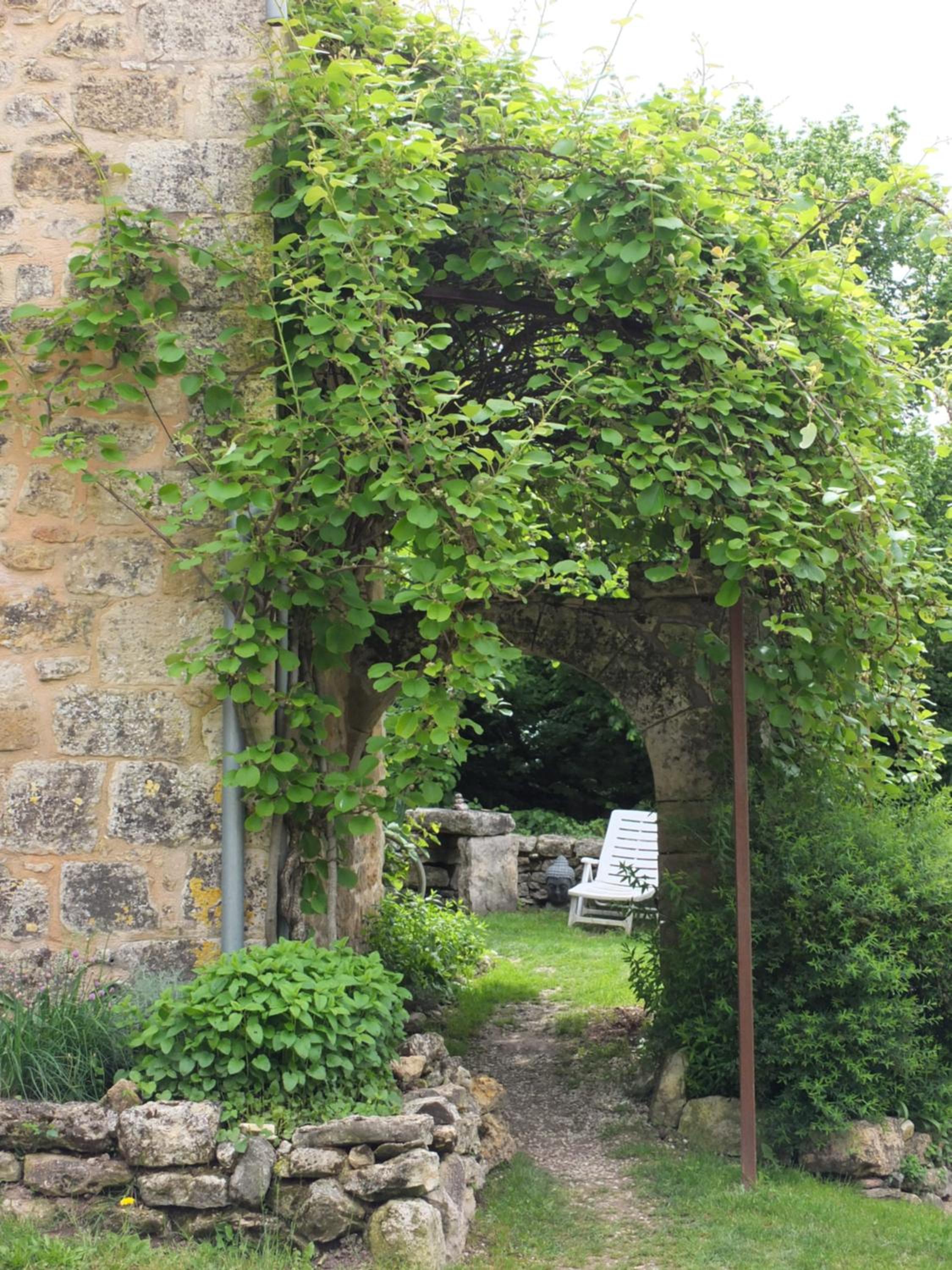 Photo 34