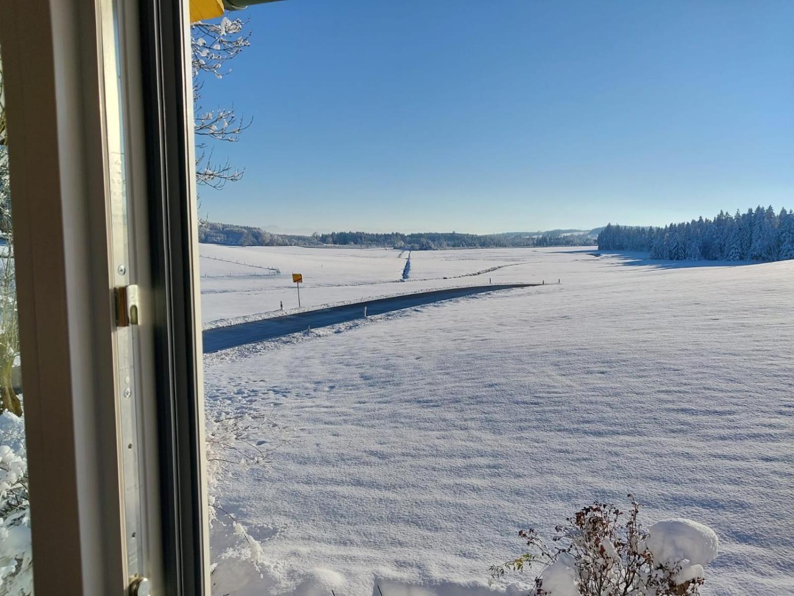 Allgäu Bergblick