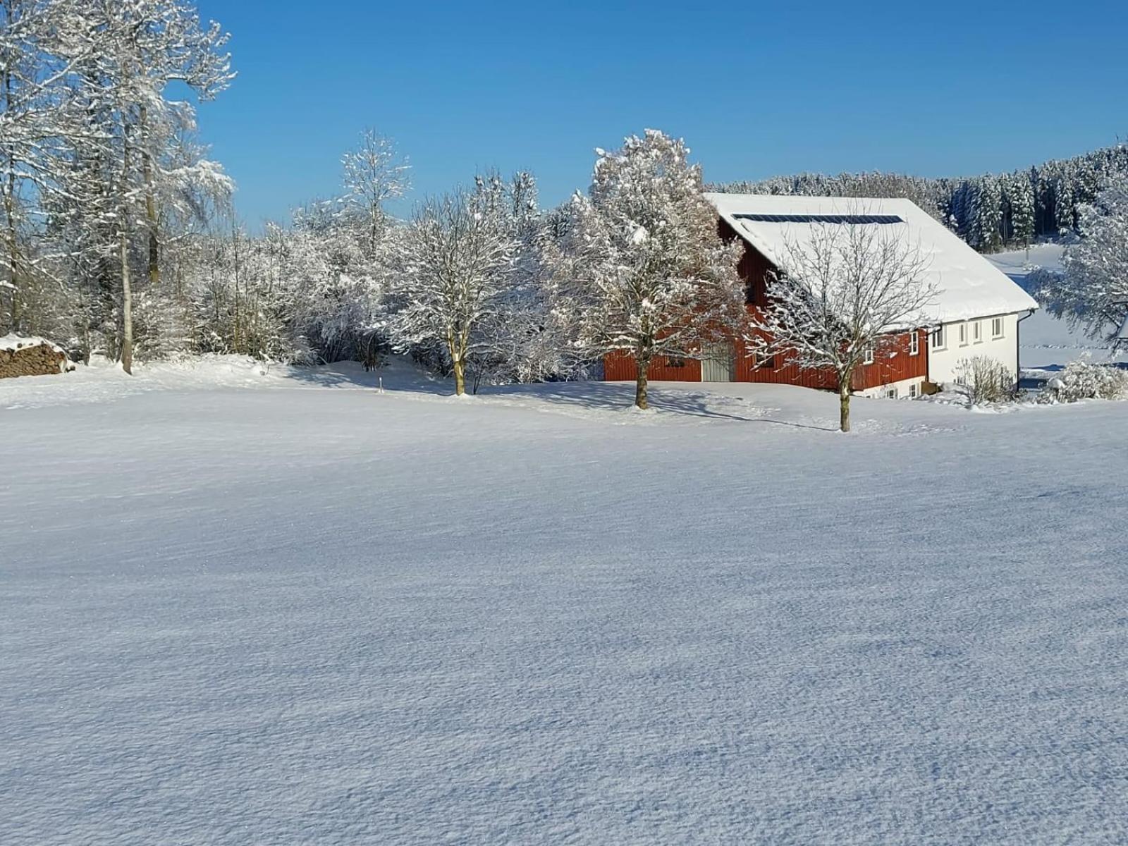 Allgäu Bergblick