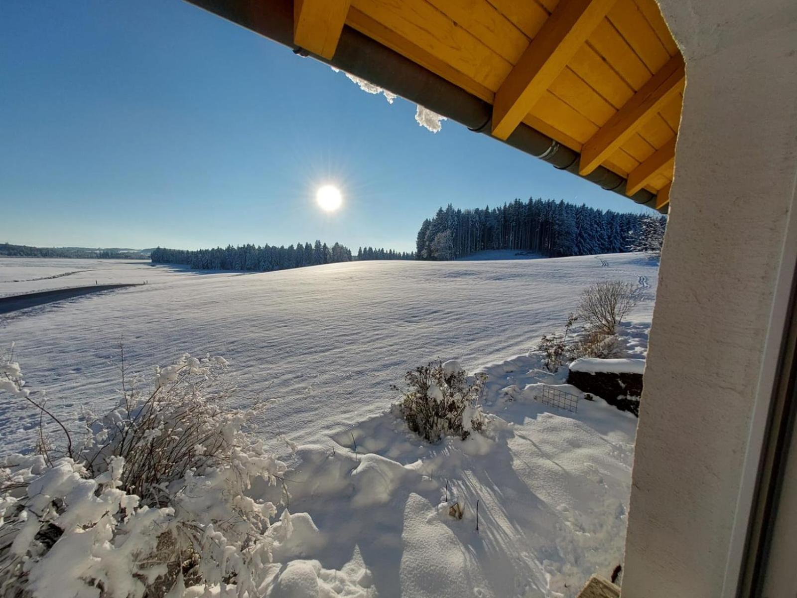 Allgäu Bergblick