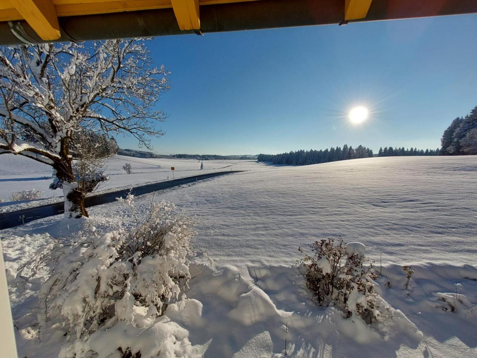 Allgäu Bergblick