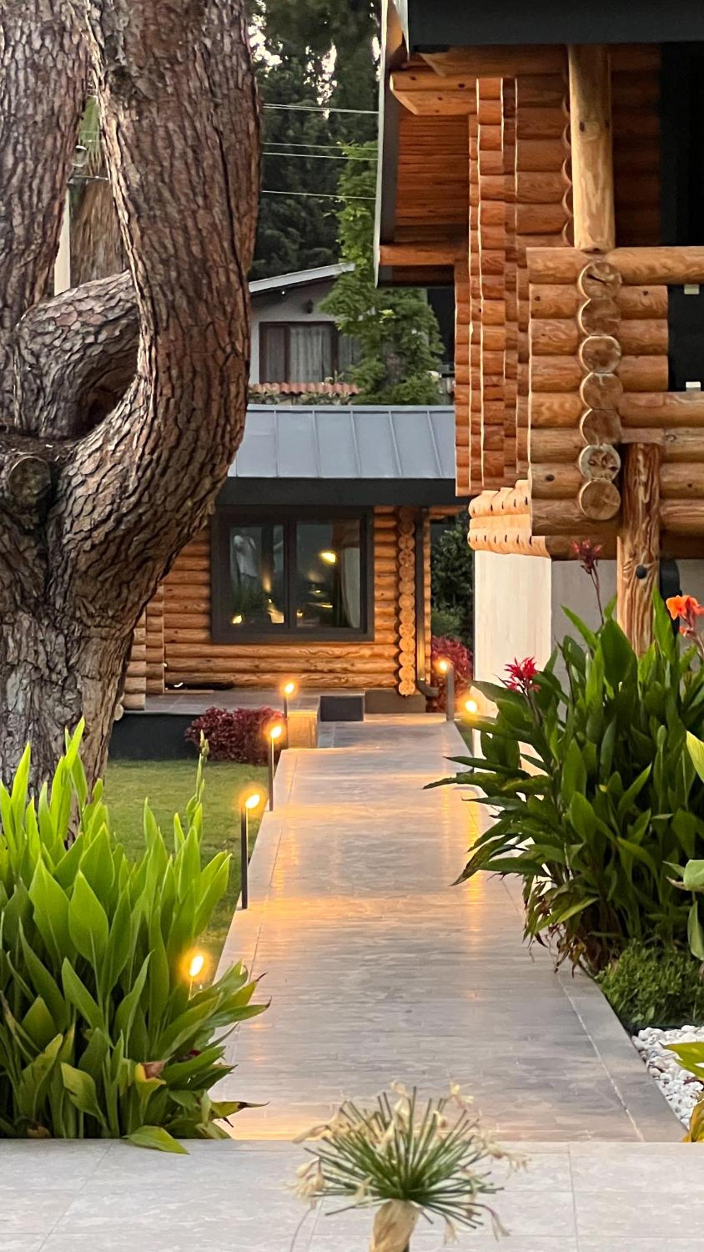 Living Dream Villa LIGNUM view 5