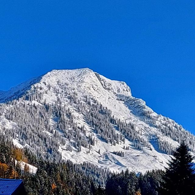 Haus Ortner