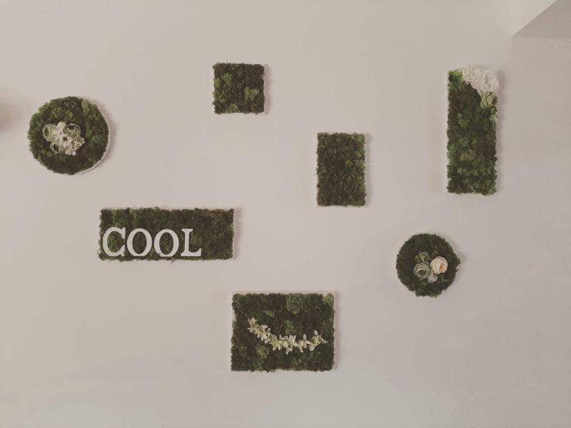 Pensiunea Cool