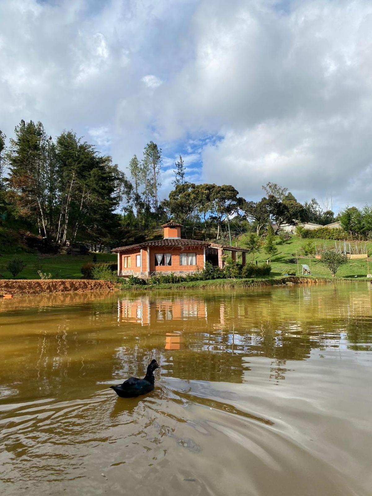 EL LAGO HOTEL