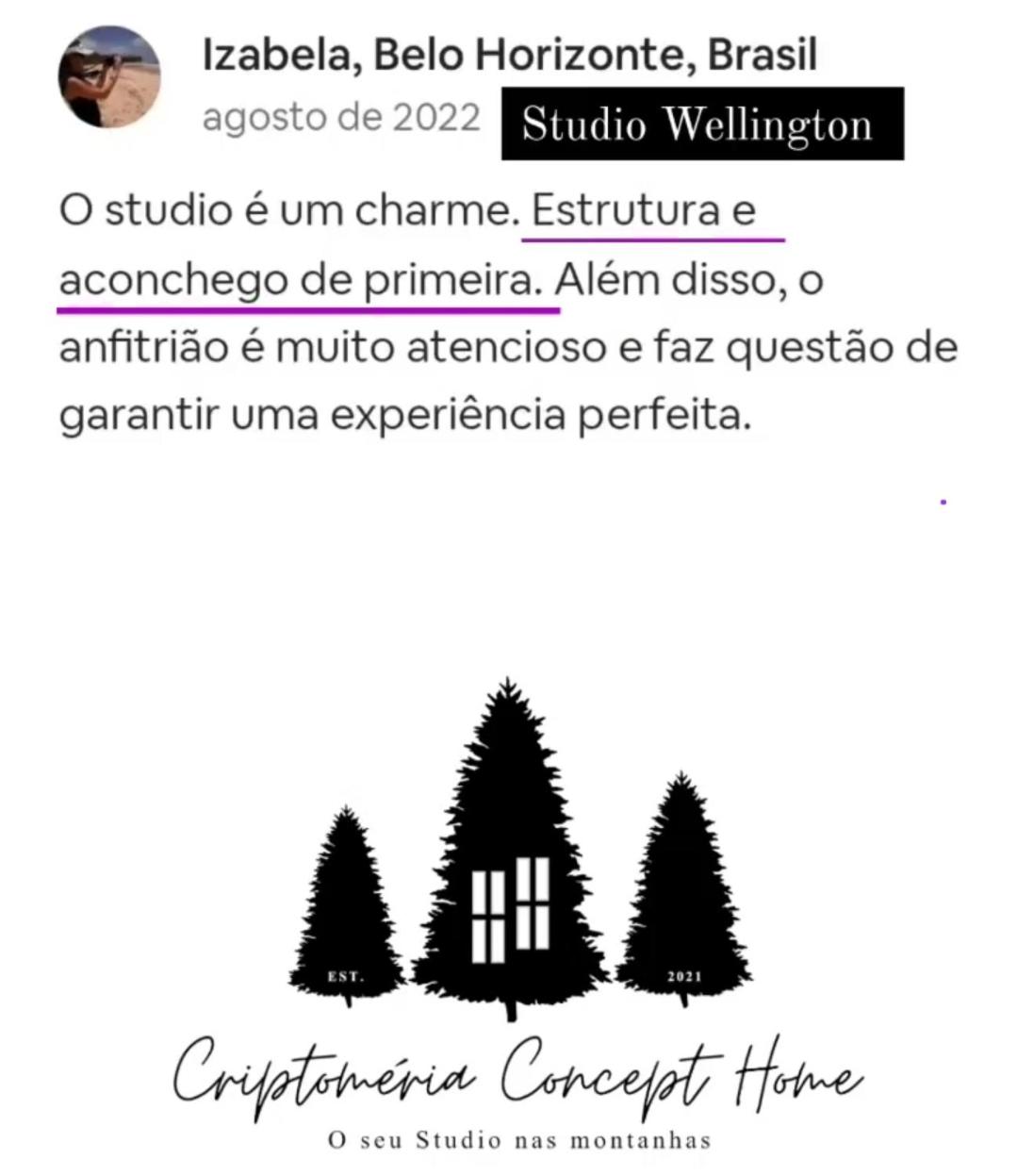Criptoméria Concept Home - O seu Studio nas Montanhas.