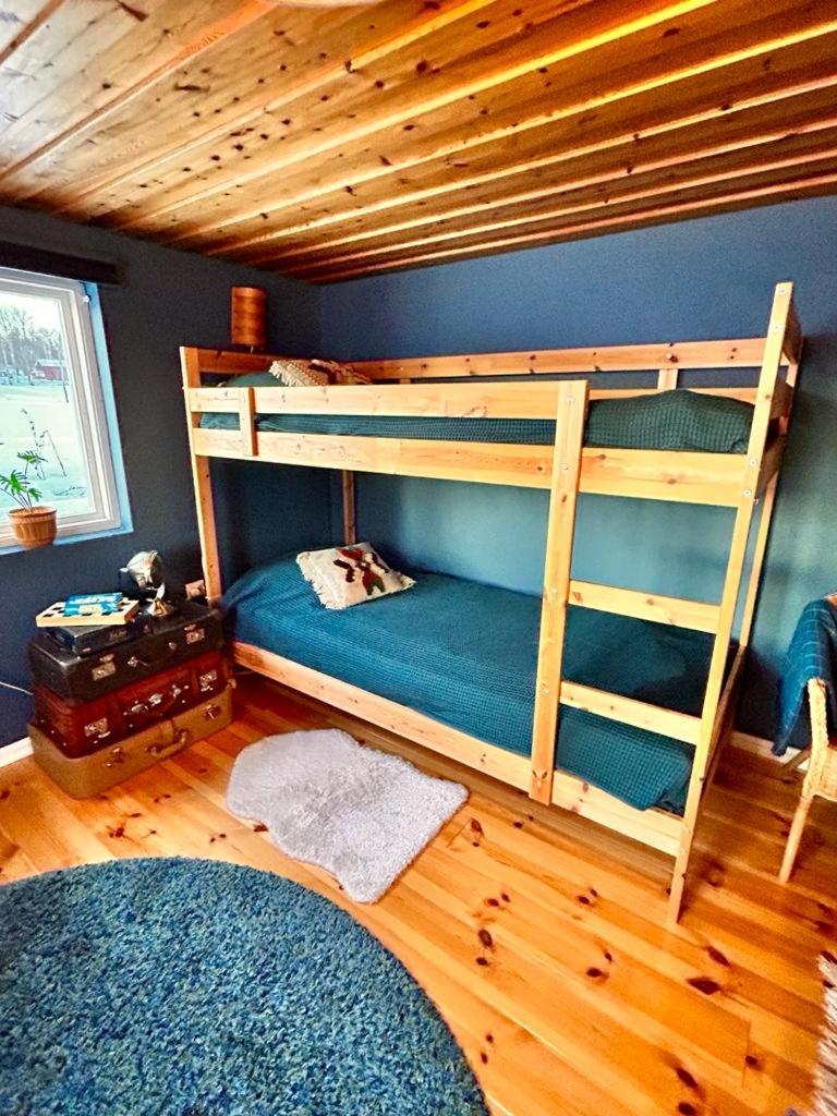 Super cosy cottage in heart of Dalarna view 4