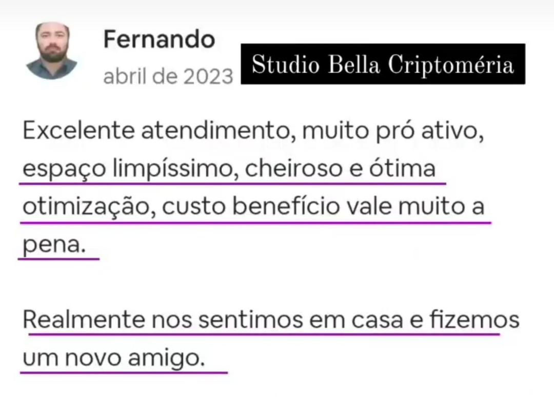 Criptoméria Concept Home - O seu Studio nas Montanhas.