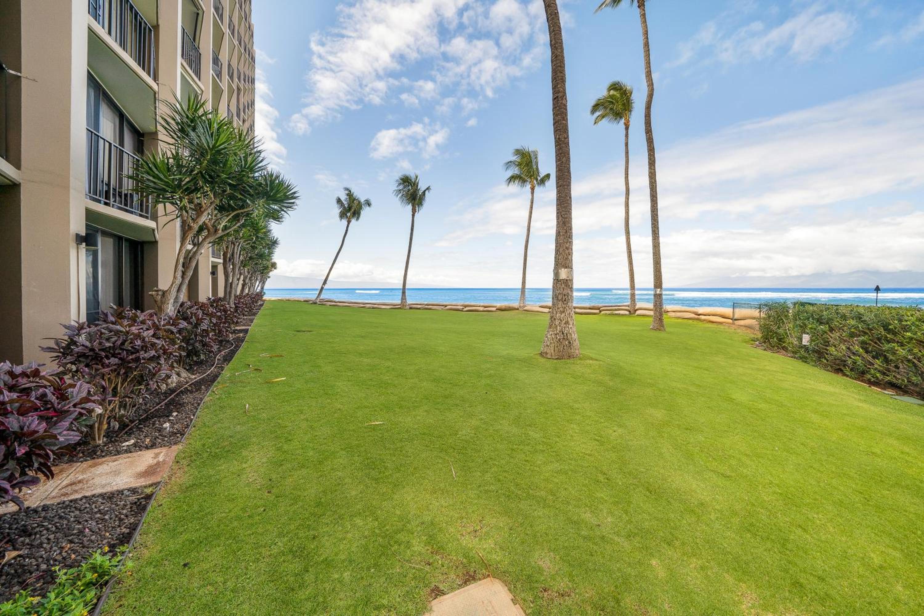 Valley Isle 304 · VI 304 Beautifully Decorated OceanFront Condo