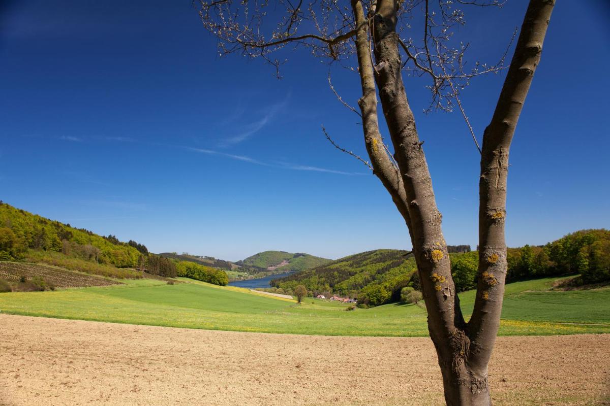 Gasthof Zum Diemeltal