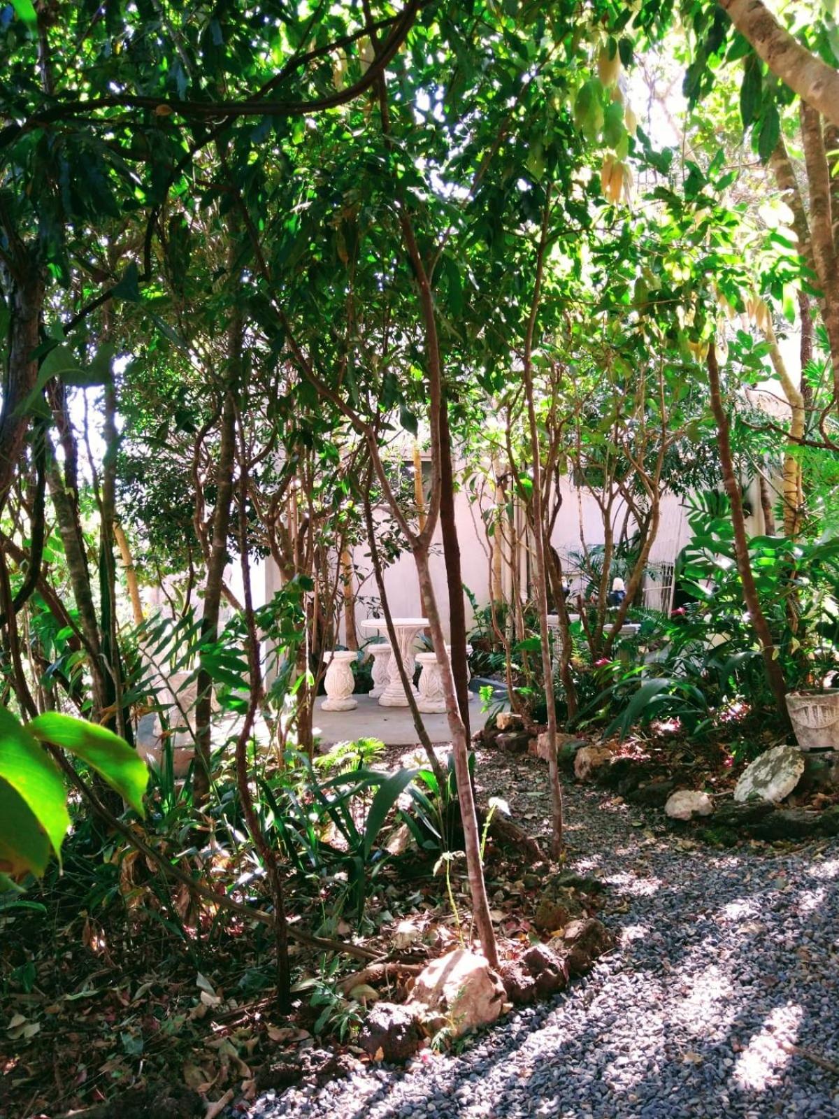 Pousada Recanto Guatambu - Sobrado