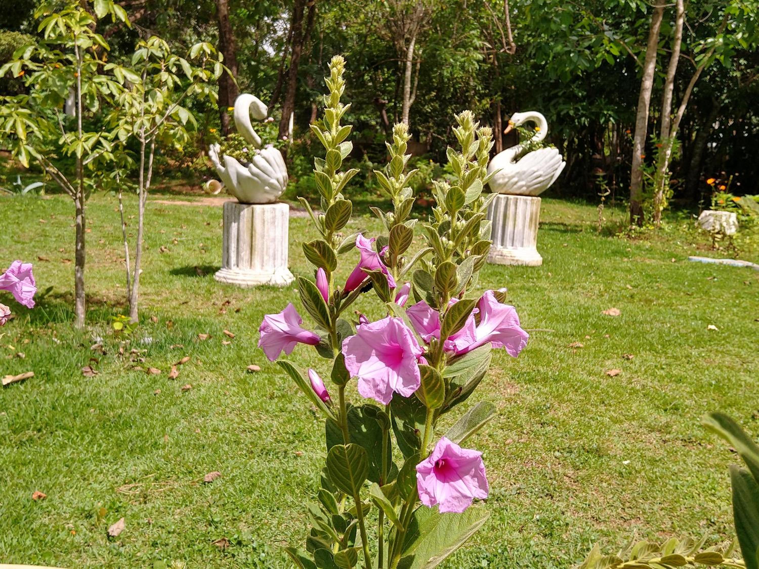 Pousada Recanto Guatambu - Sobrado
