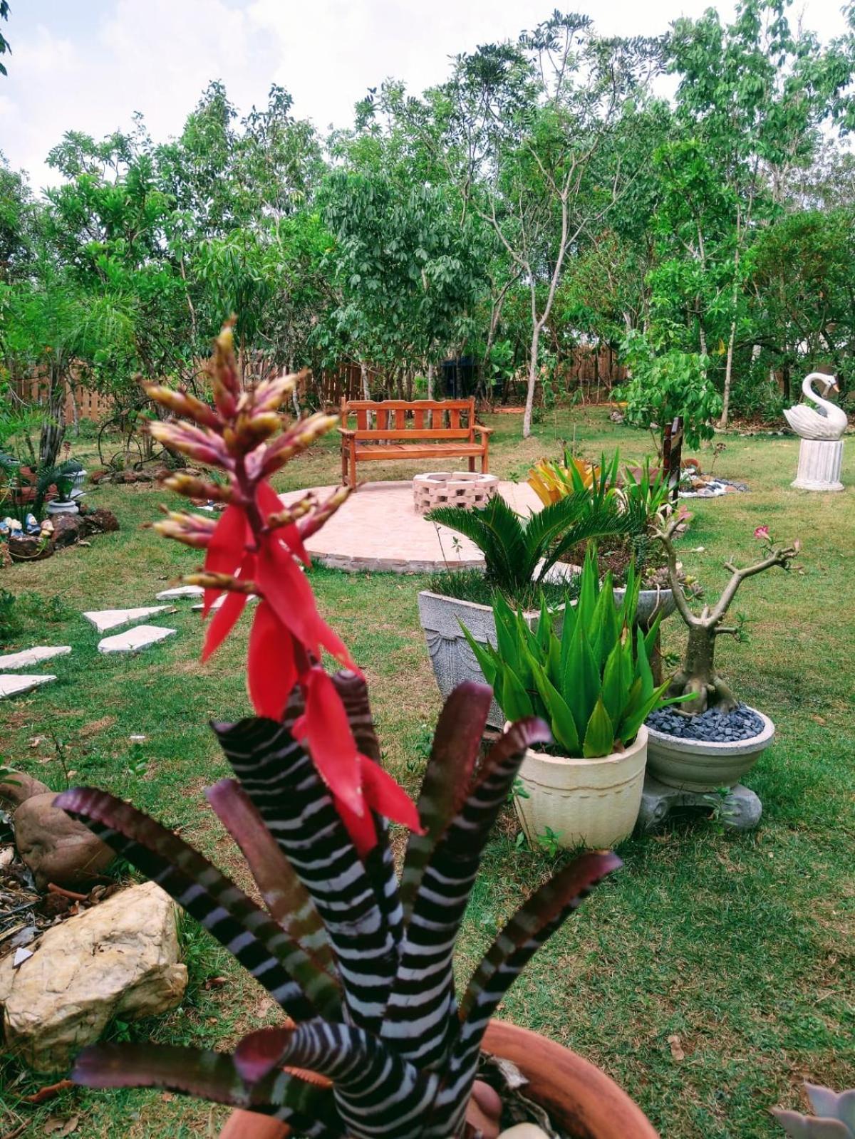 Pousada Recanto Guatambu - Sobrado