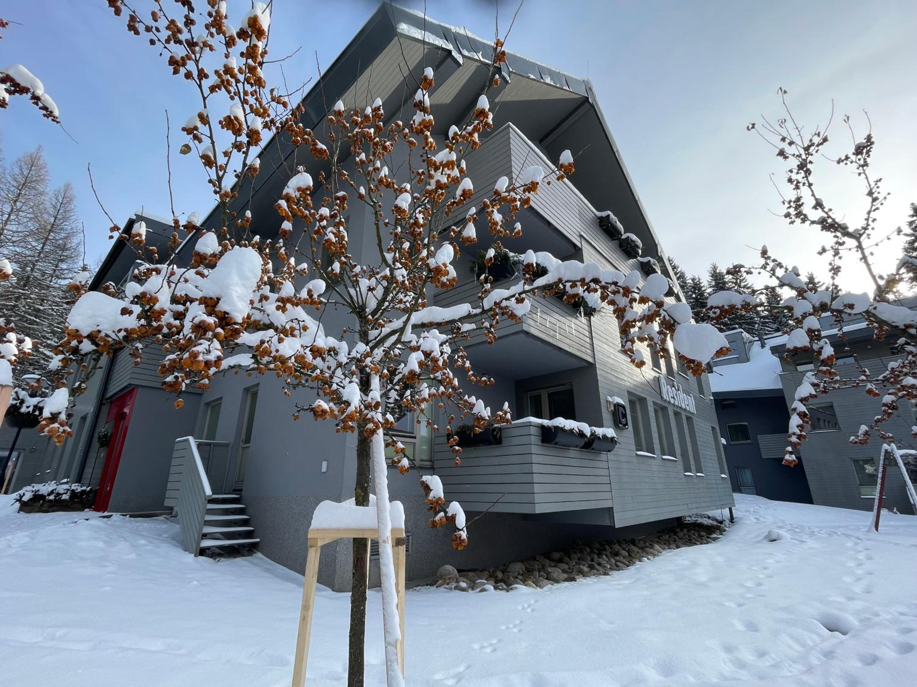 Spirit Harrachov Superior Wellness Apartment - FREE Wellness, Wifi, Parking