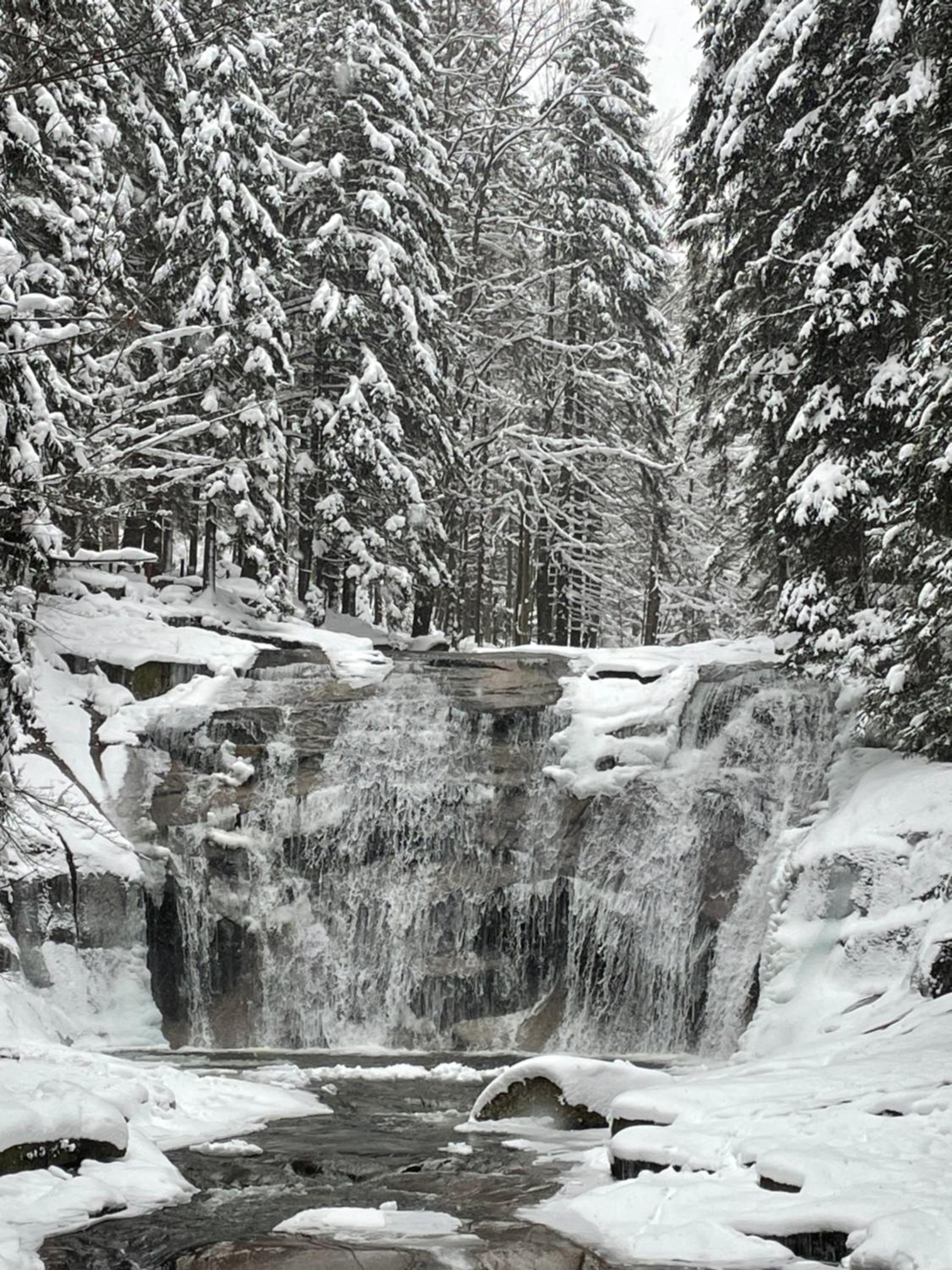 Spirit Harrachov Superior Wellness Apartment - FREE Wellness, Wifi, Parking