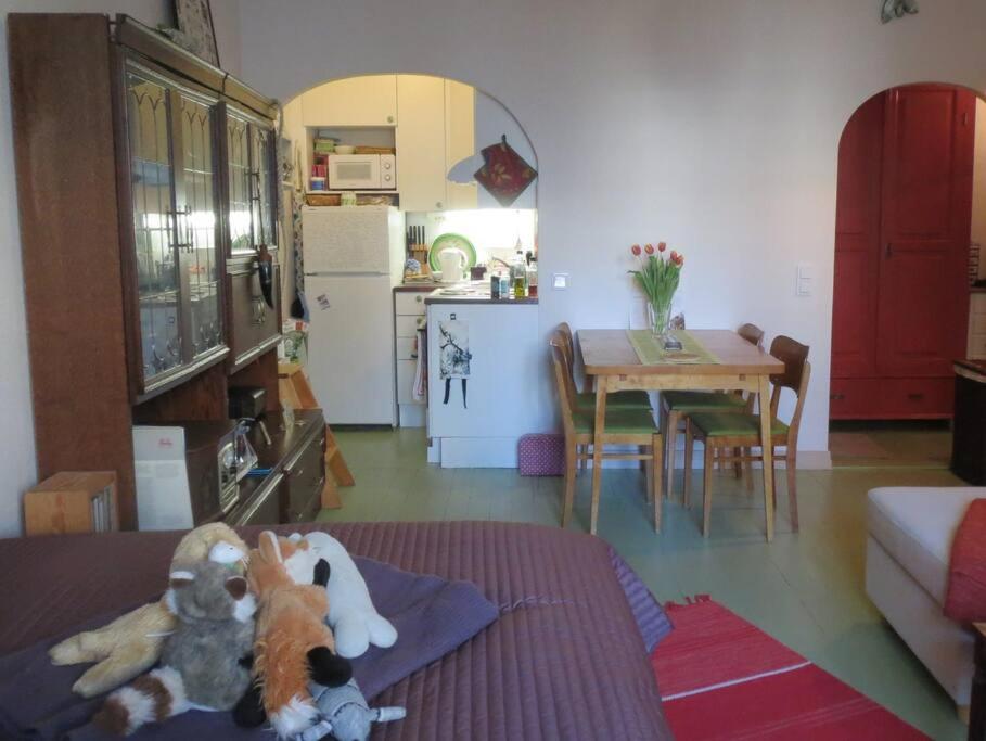 Cosy studio apartment with great location