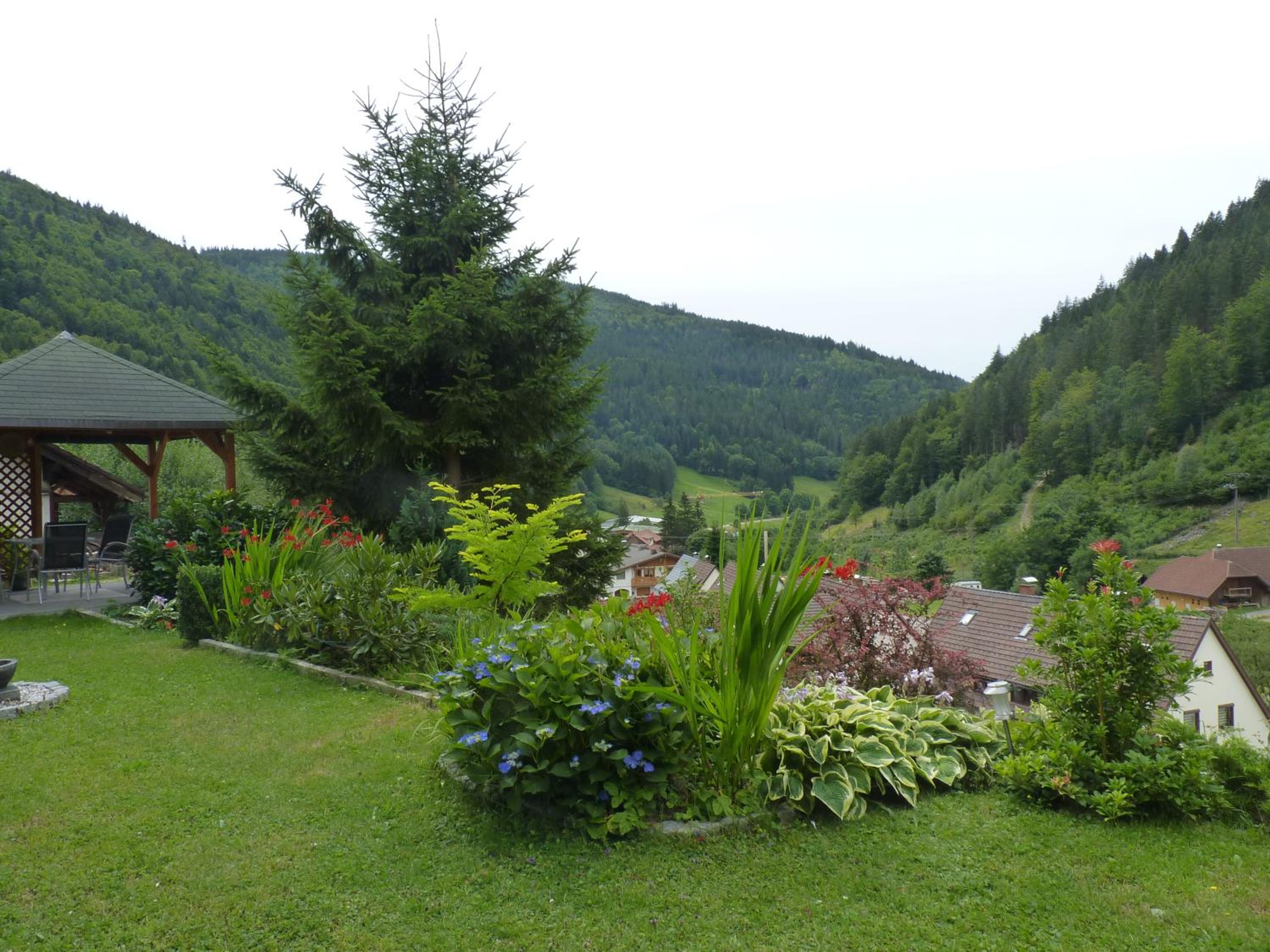 Photo 10