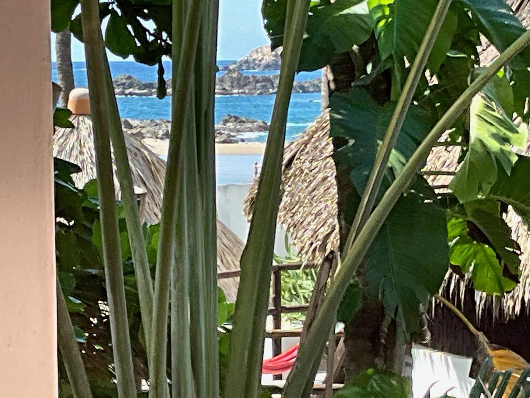 Bambú Ecocabañas