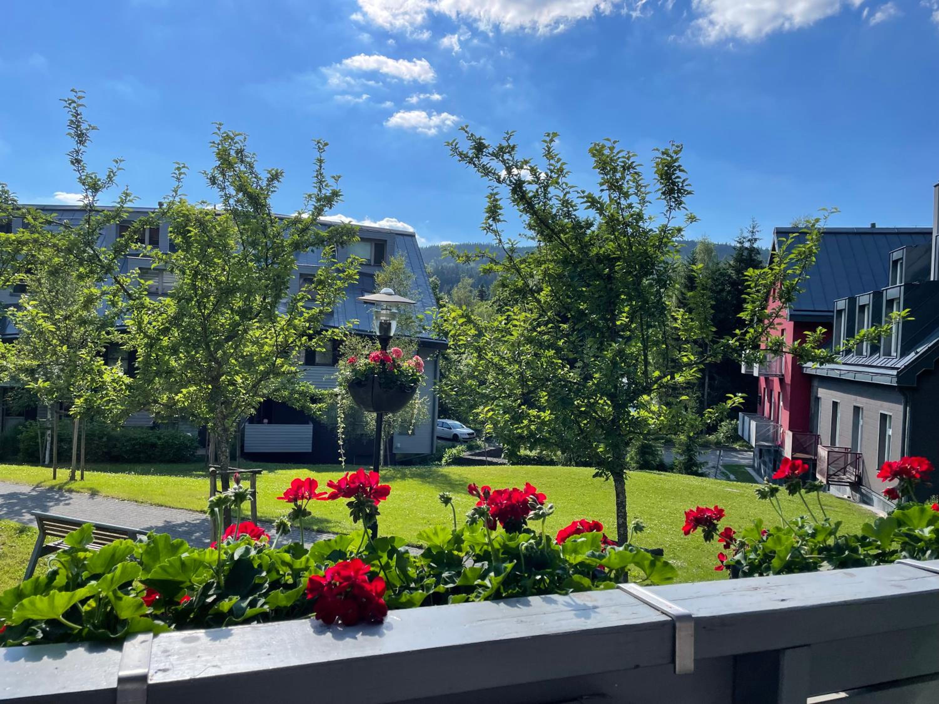 Spirit Harrachov Superior Wellness Apartment - FREE Wellness, Wifi, Parking