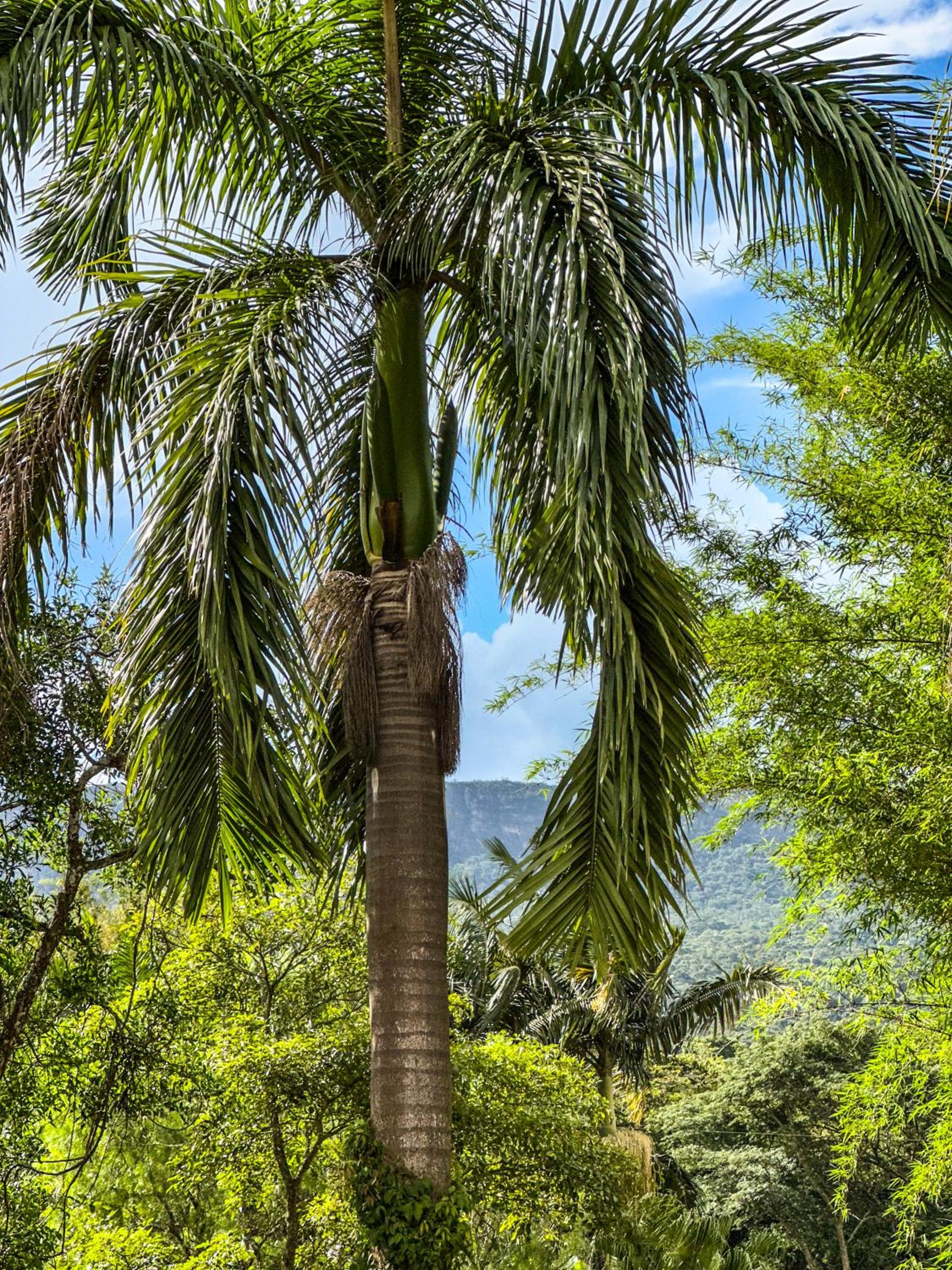 Gruta d'ouro Pousada