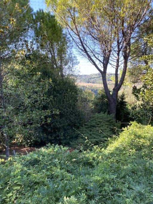Idyllique maison de maître dans les collines de Pesaro entre Urbino et la mer - Villa Rina view 4