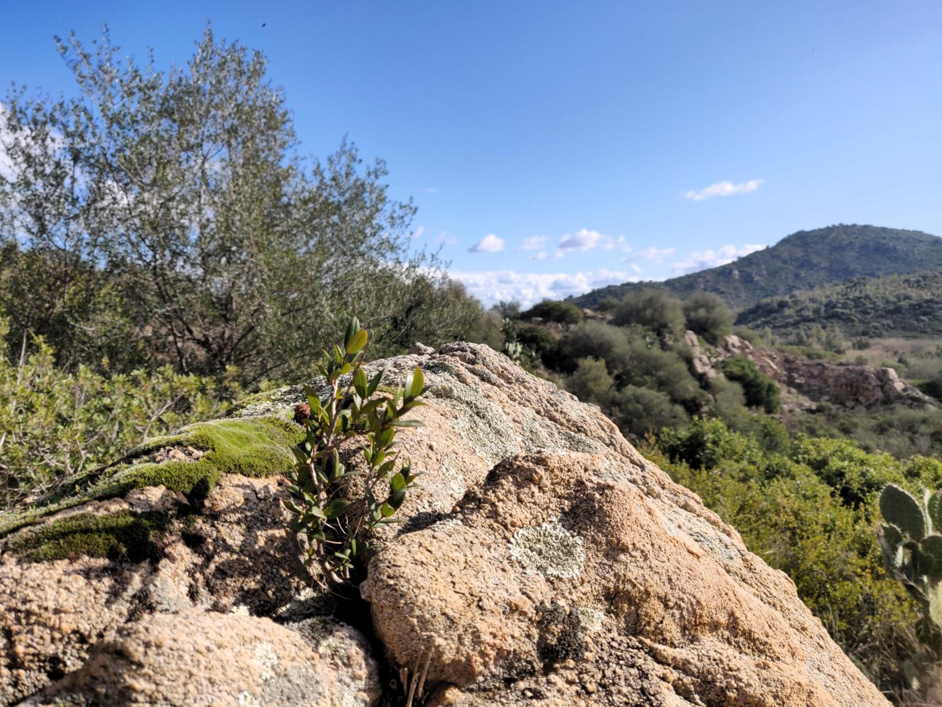 other