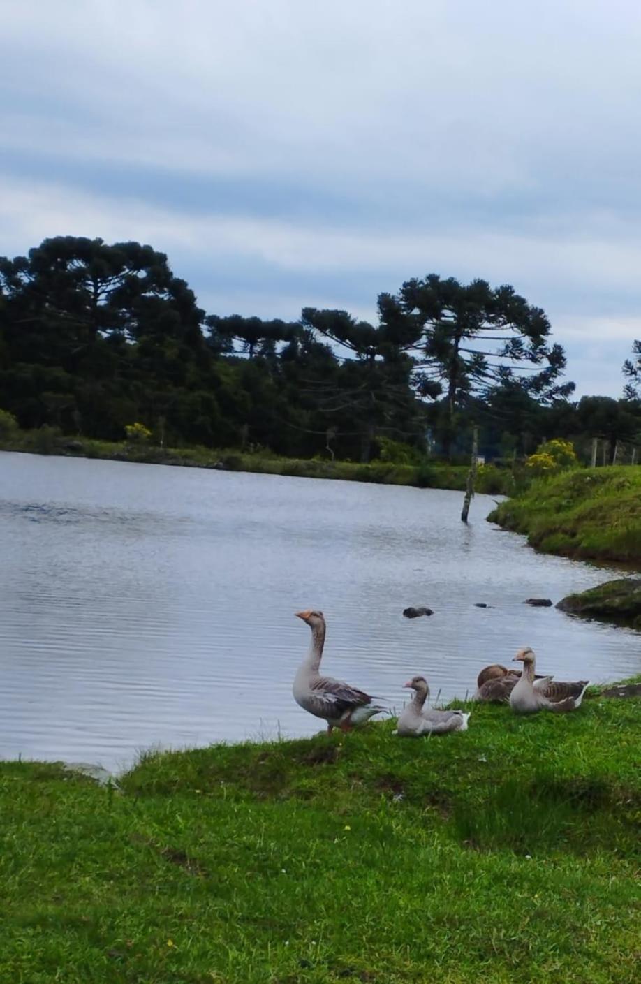 Recanto do lago