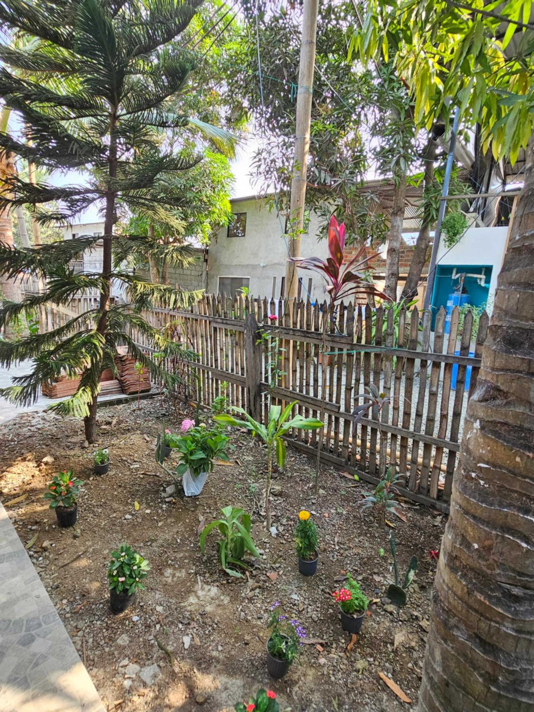 Photo 13