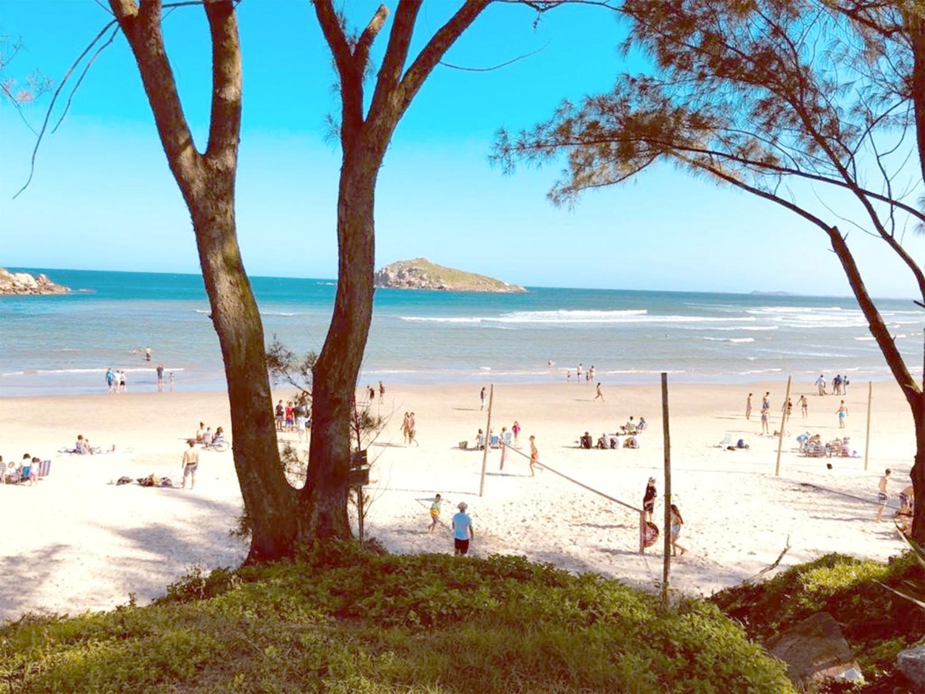 Casa na árvore perto da praia