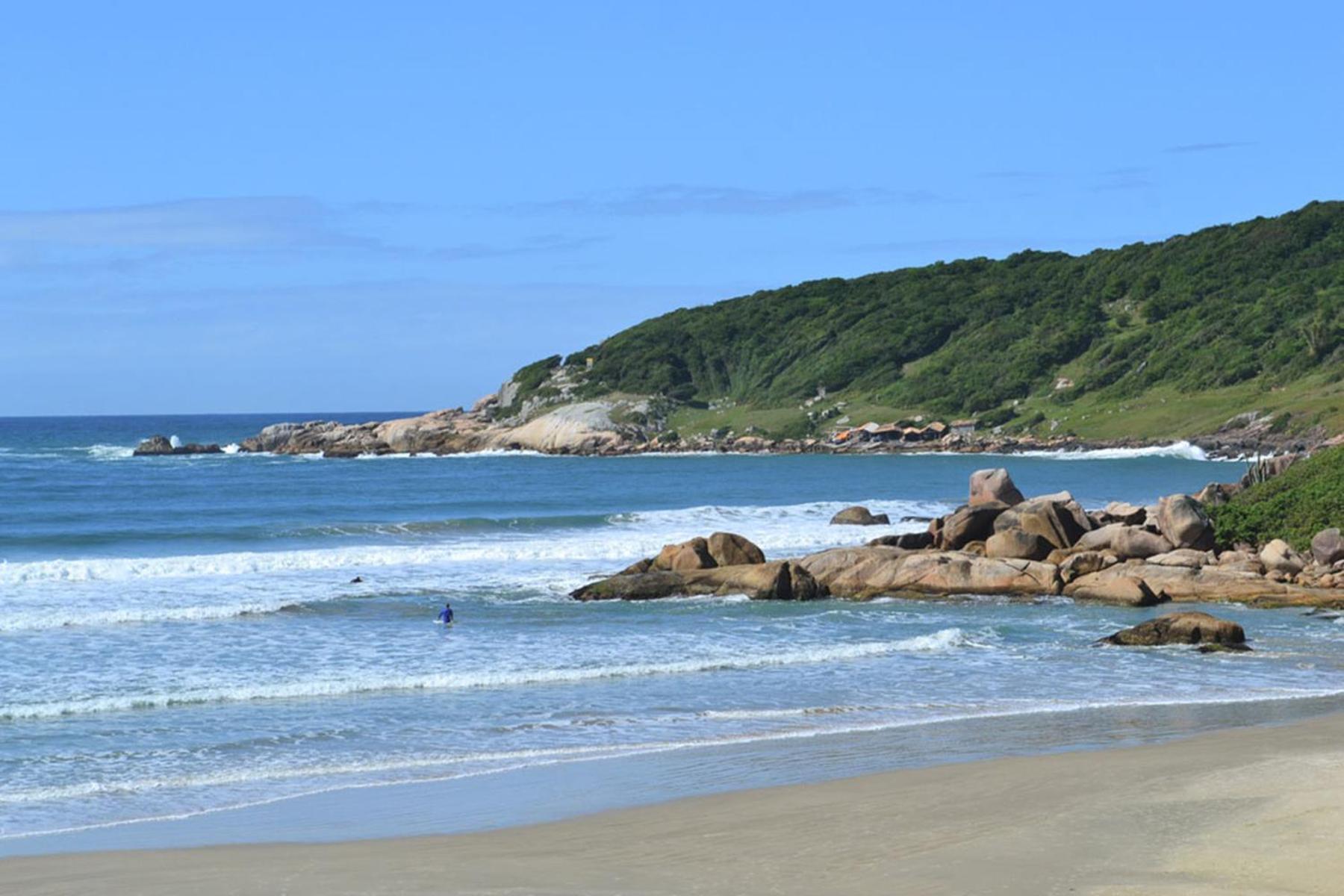 Casa na árvore perto da praia