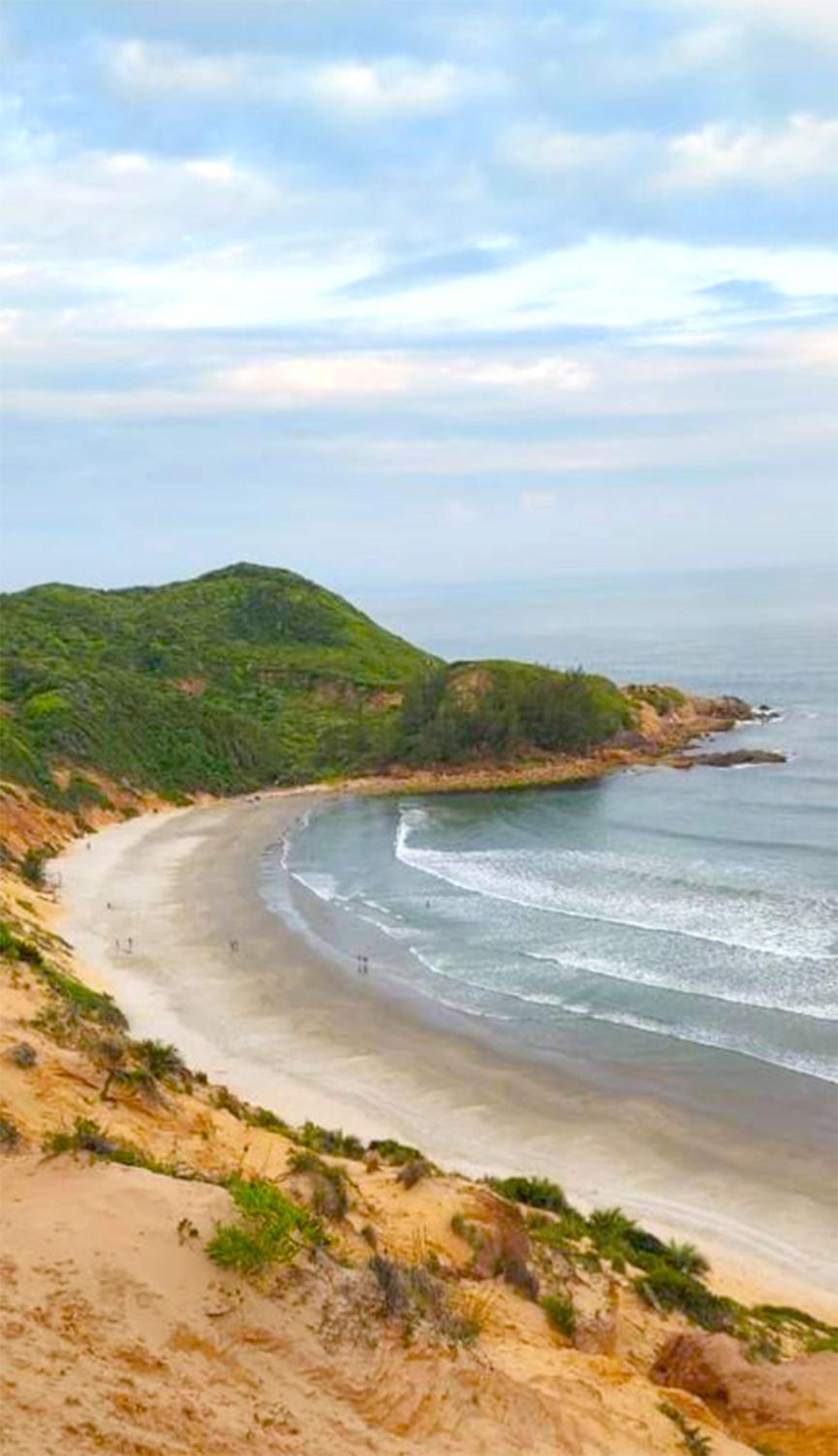 Casa na árvore perto da praia