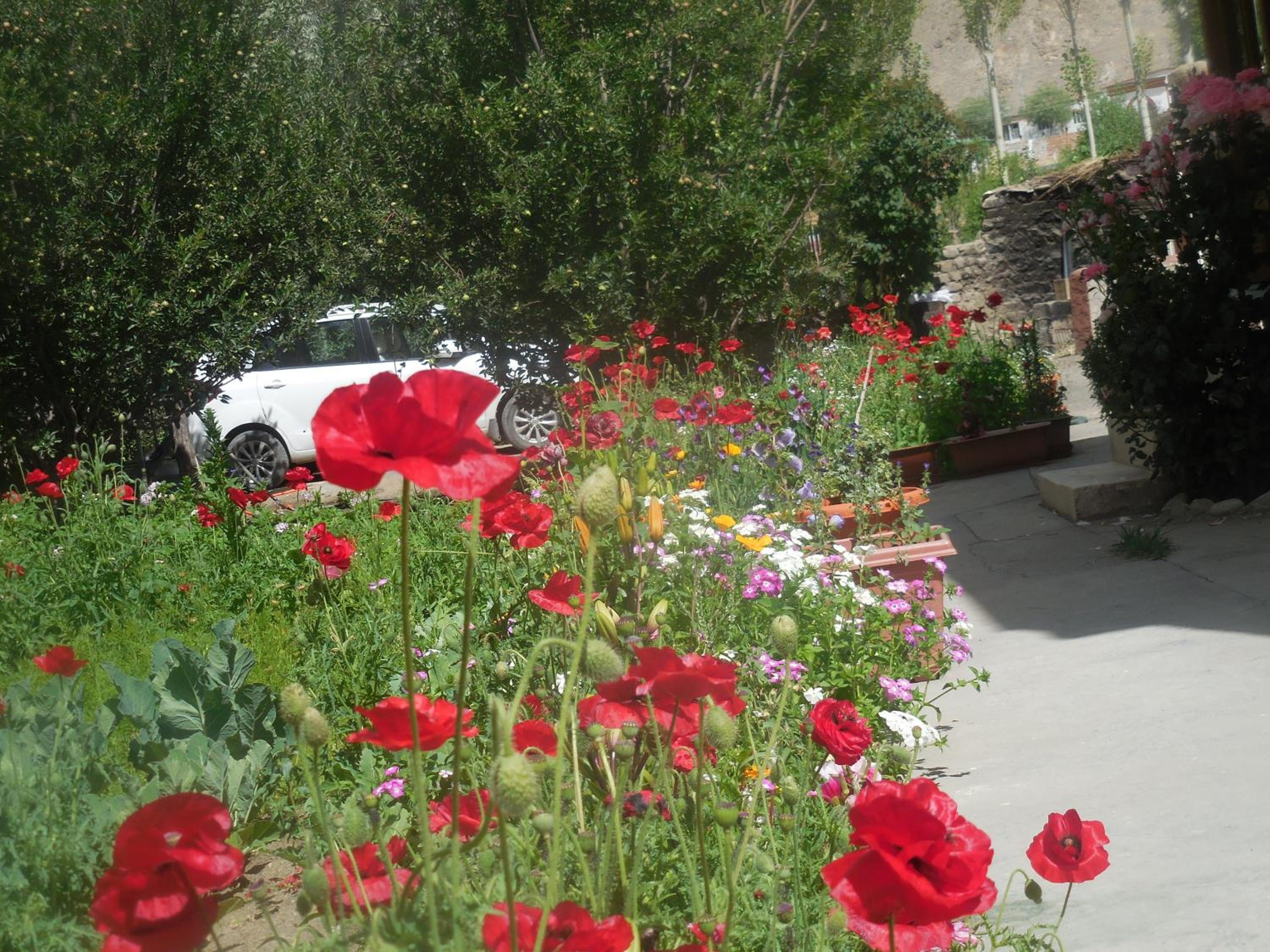 Photo 40